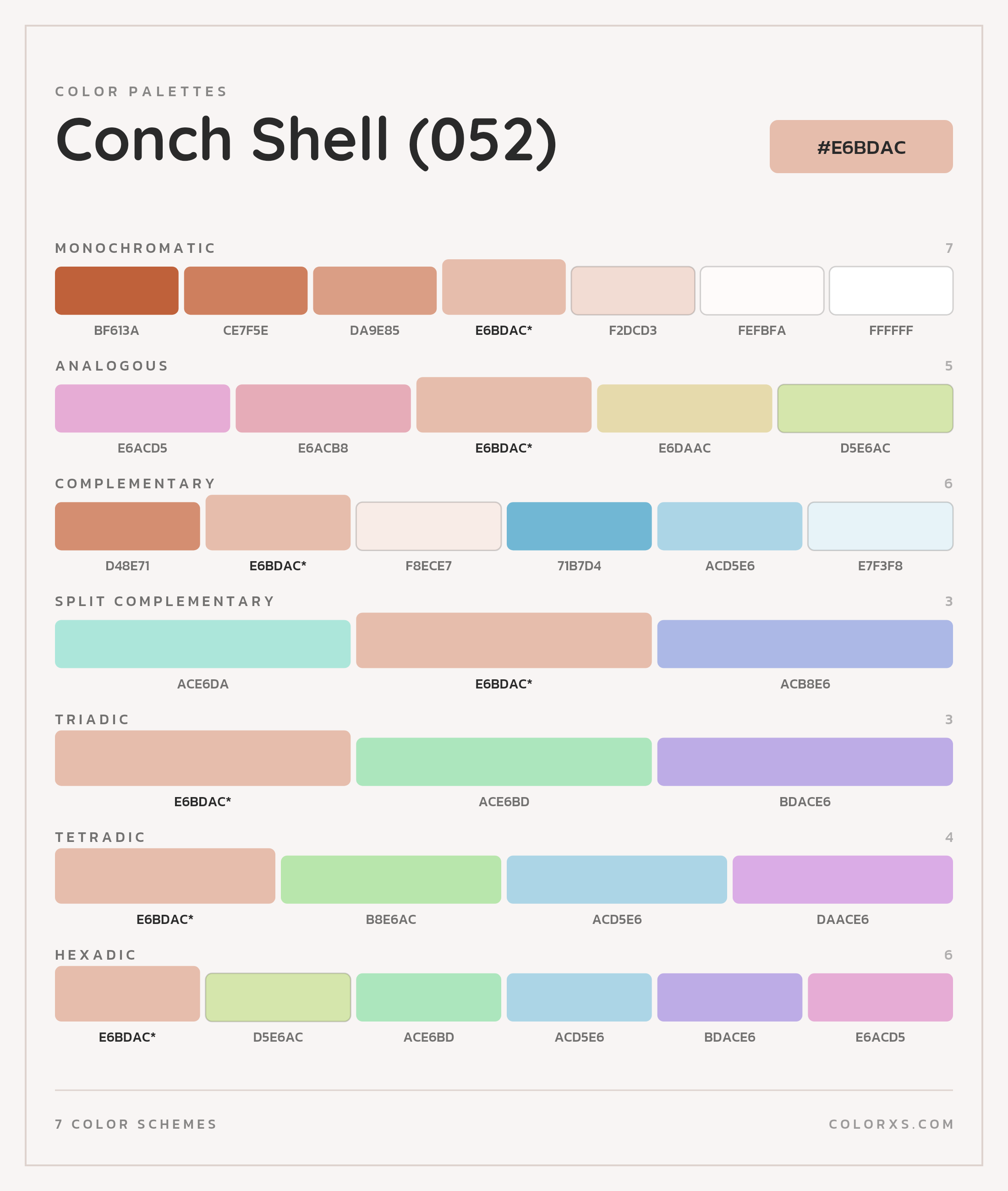 Conch Shell (052) Color Scheme Palettes
