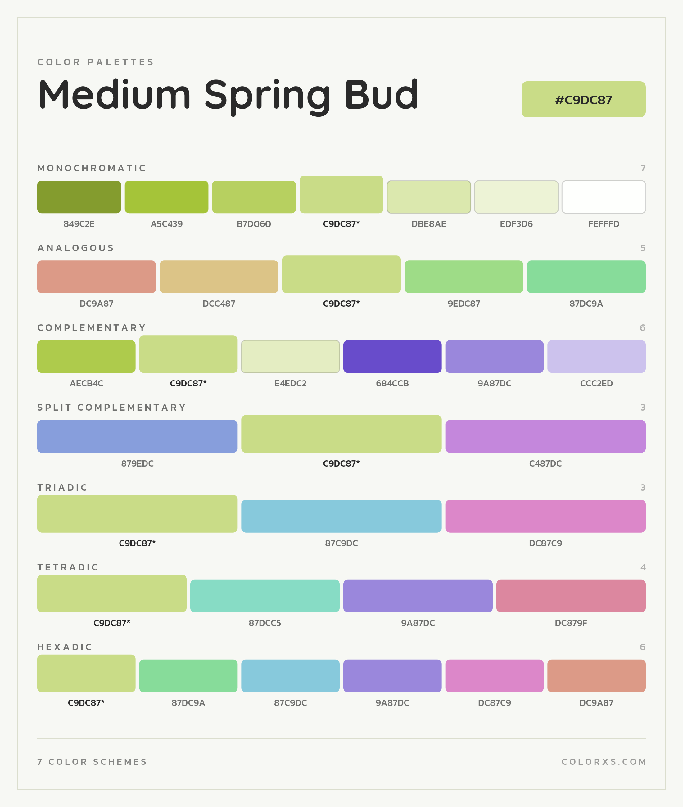 Medium Spring Bud Color Scheme Palettes