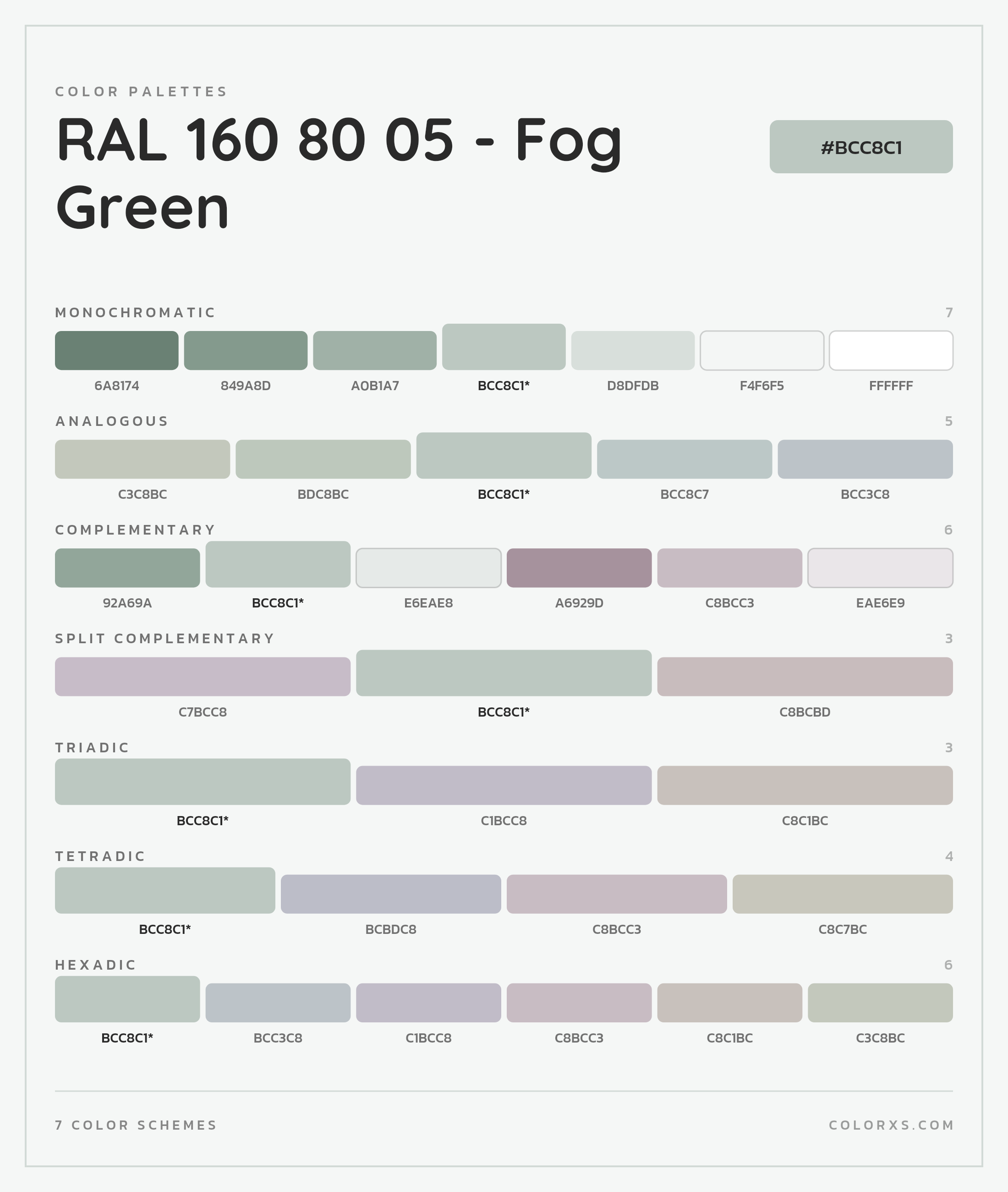 RAL 160 80 05 - Fog Green Color Scheme Palettes