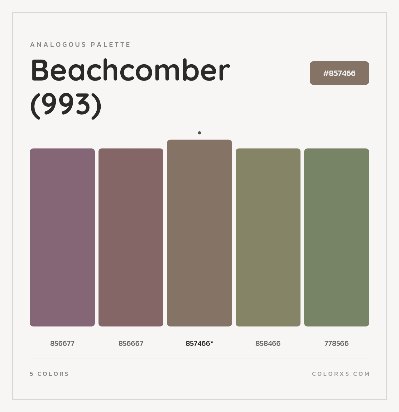 Beachcomber (993) - Analogous Color Palette