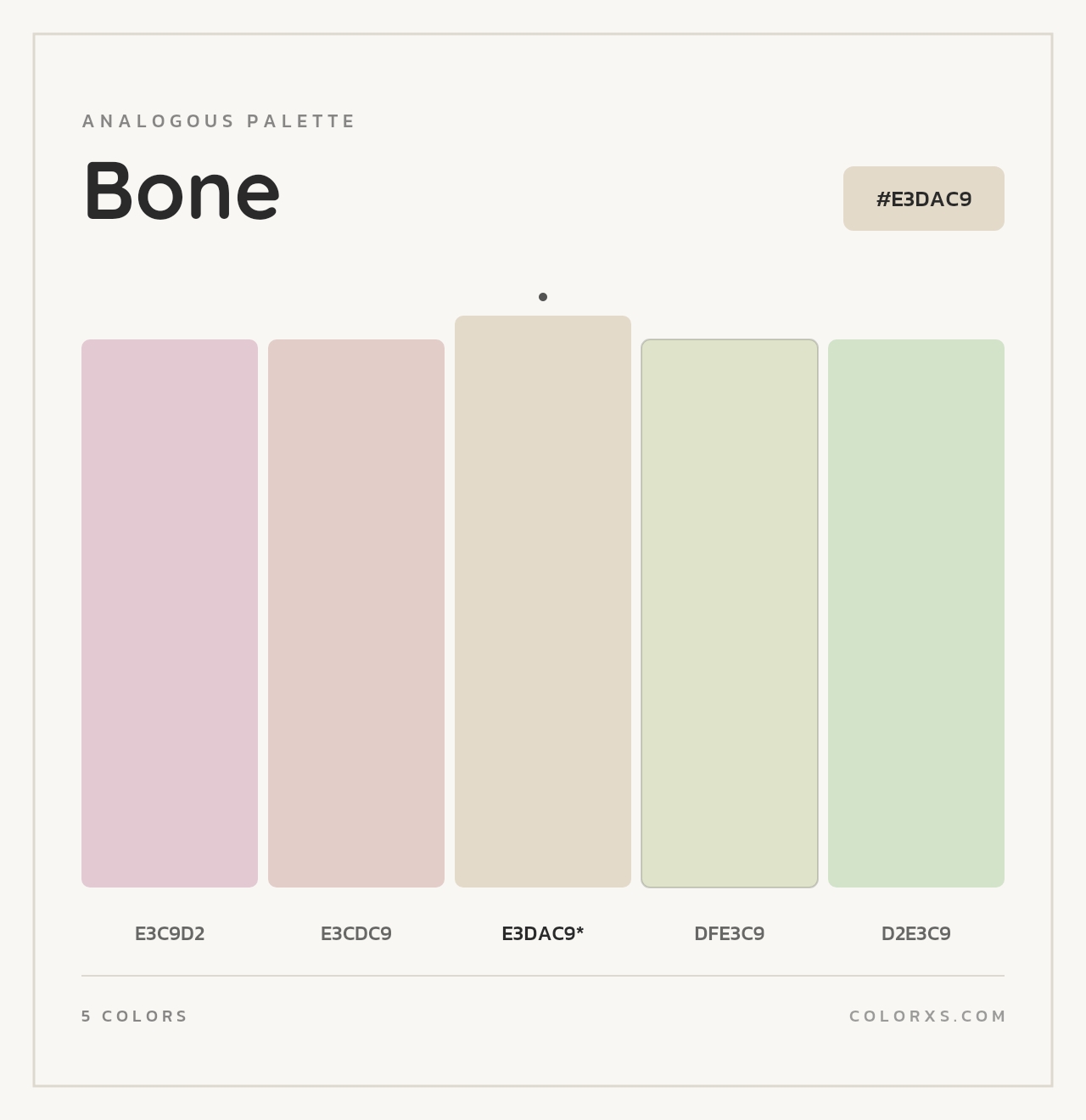 Bone - Analogous Color Palette