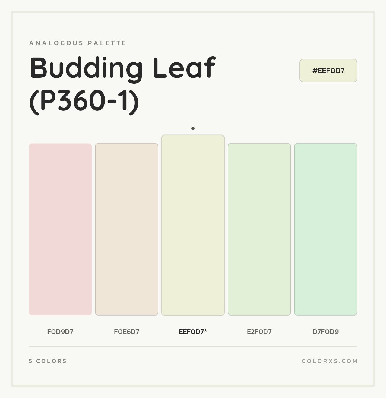 Budding Leaf (P360-1) - Analogous Color Palette