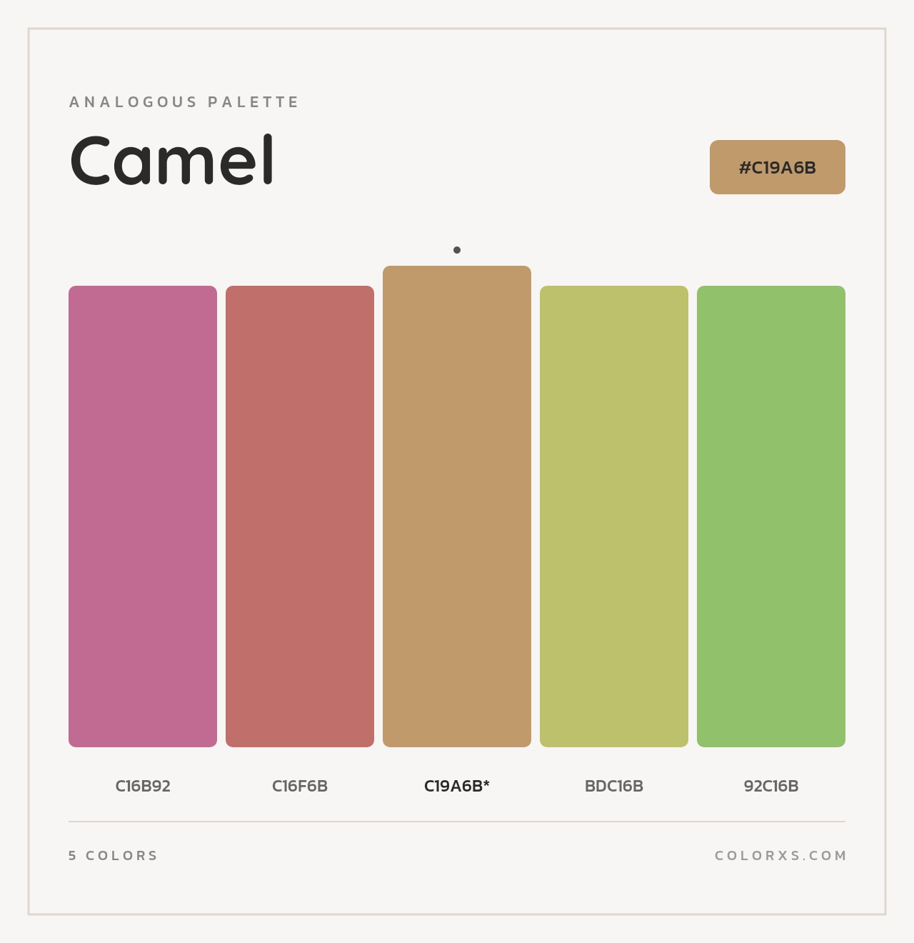 Camel - Analogous Color Palette