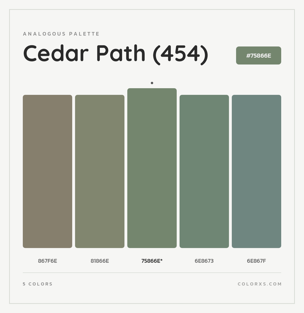 Cedar Path (454) - Analogous Color Palette