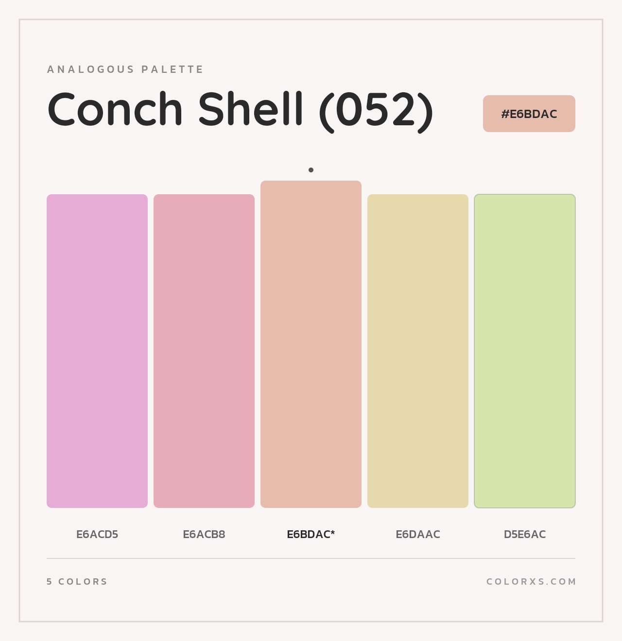 Conch Shell (052) - Analogous Color Palette