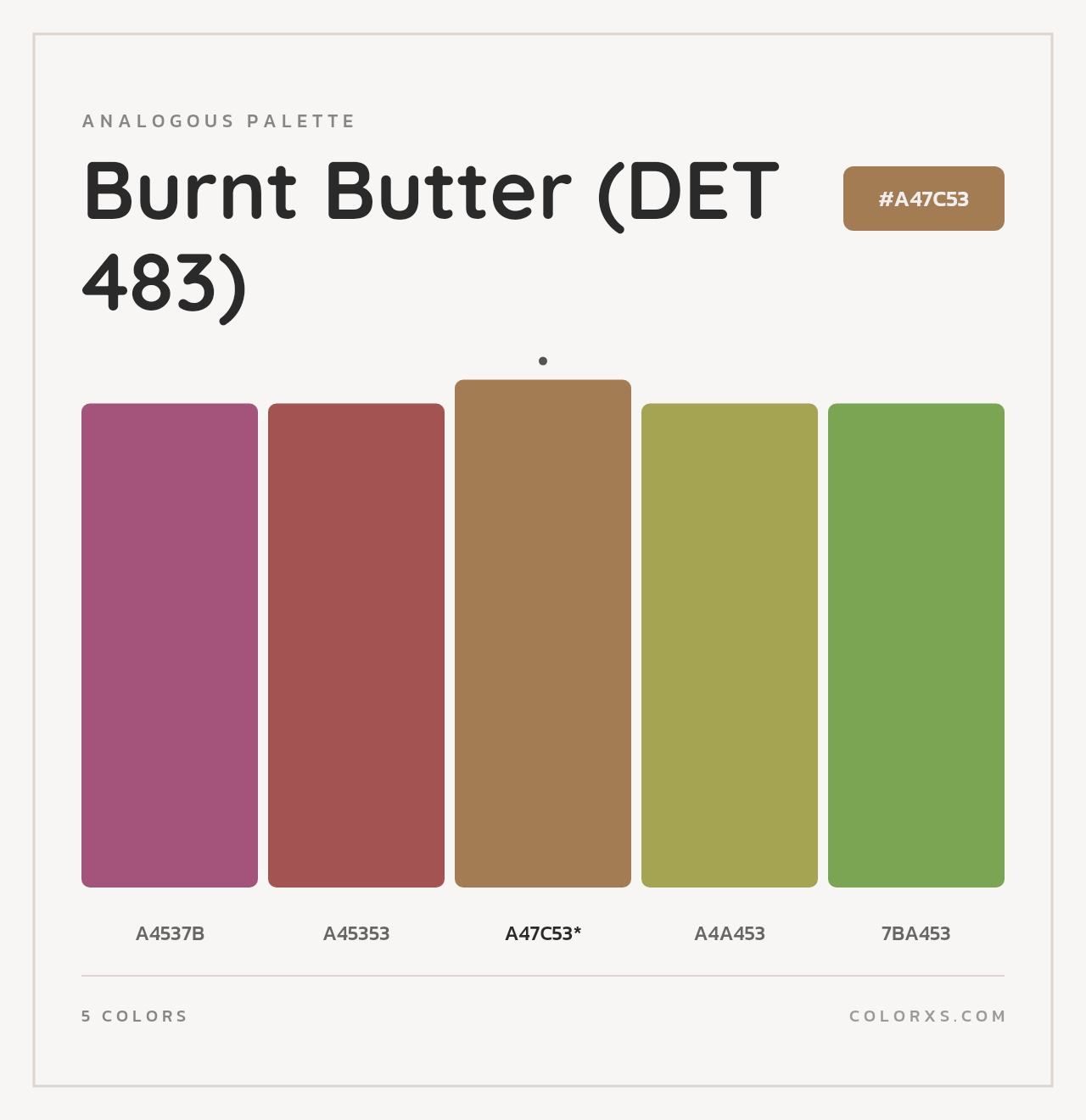 Burnt Butter (DET 483) - Analogous Color Palette