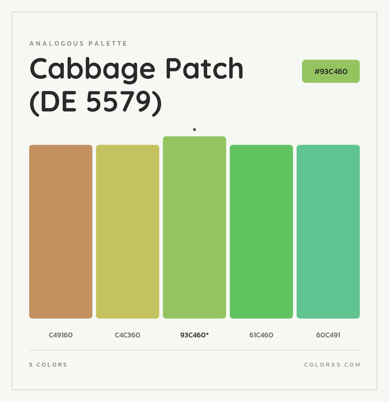 Cabbage Patch (DE 5579) - Analogous Color Palette