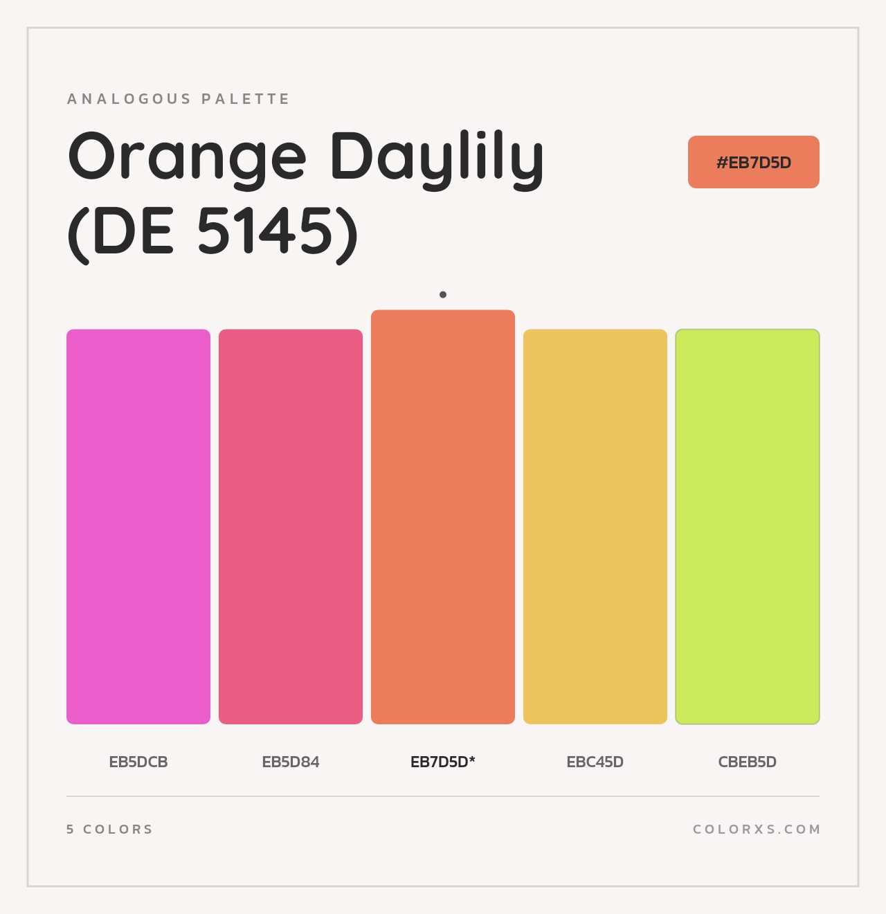 Orange Daylily (DE 5145) - Analogous Color Palette