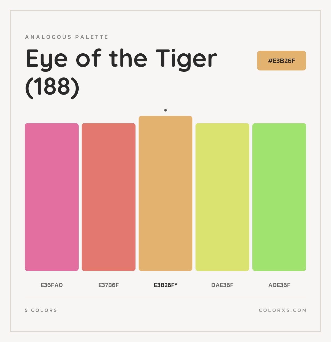 Eye of the Tiger (188) - Analogous Color Palette