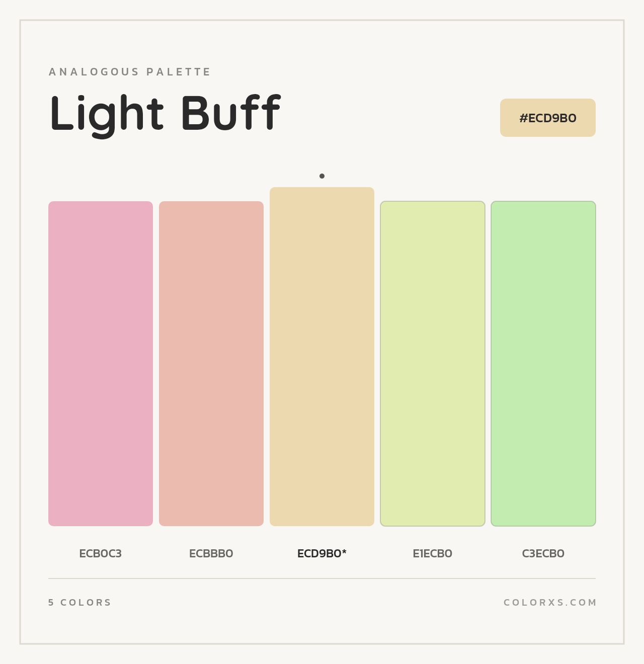 Light Buff - Analogous Color Palette