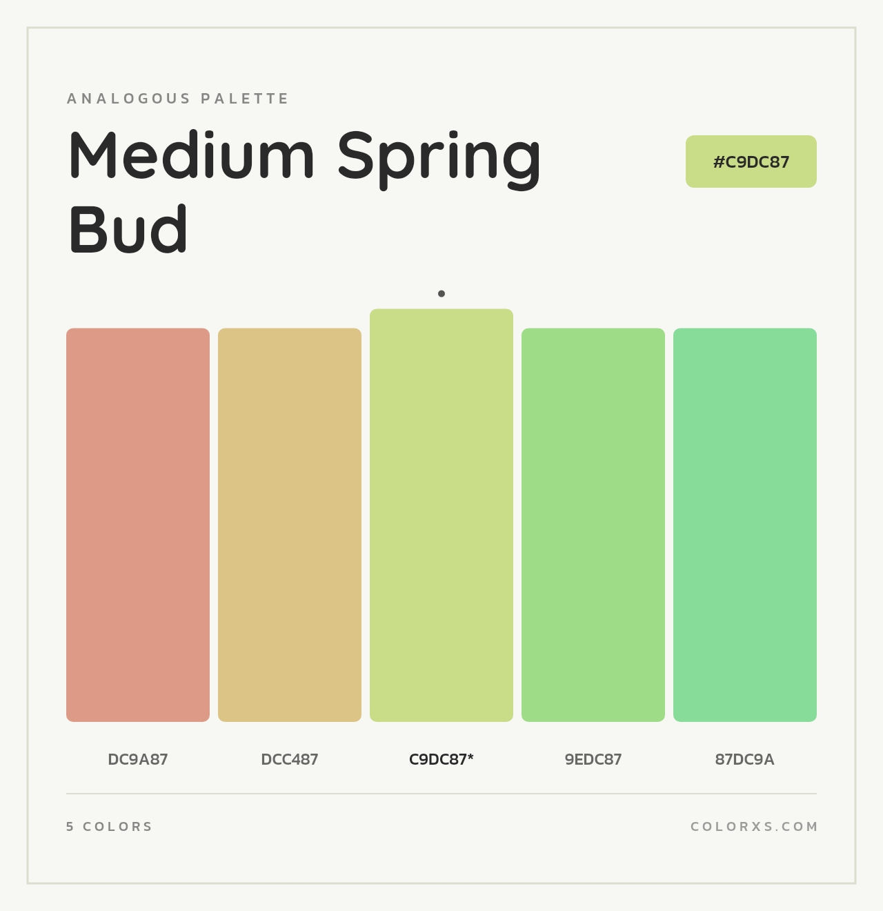 Medium Spring Bud - Analogous Color Palette