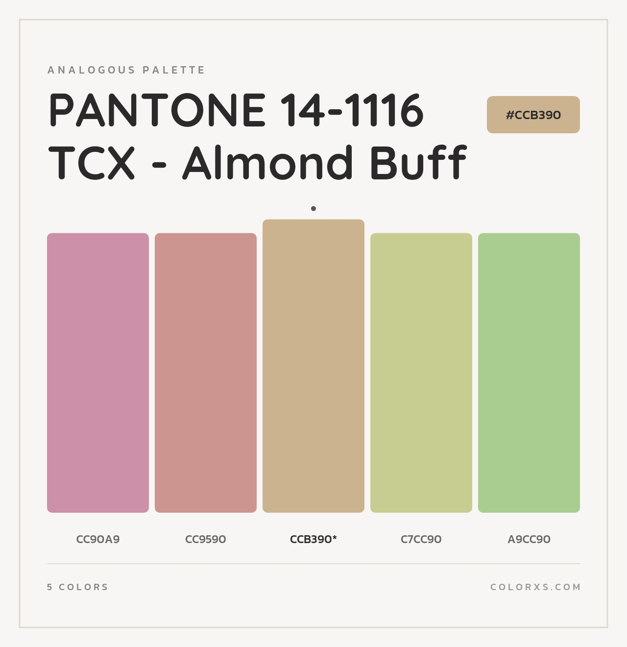 PANTONE 14-1116 TCX - Almond Buff - Analogous Color Palette