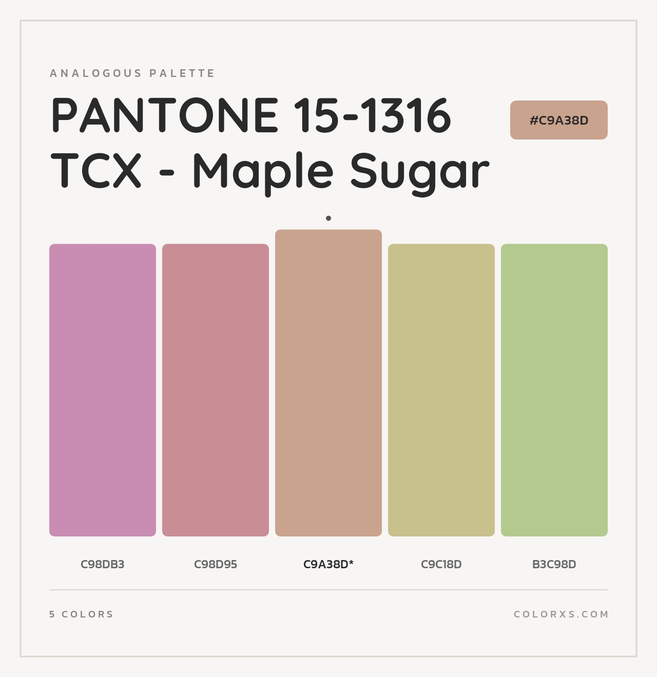 PANTONE 15-1316 TCX - Maple Sugar - Analogous Color Palette