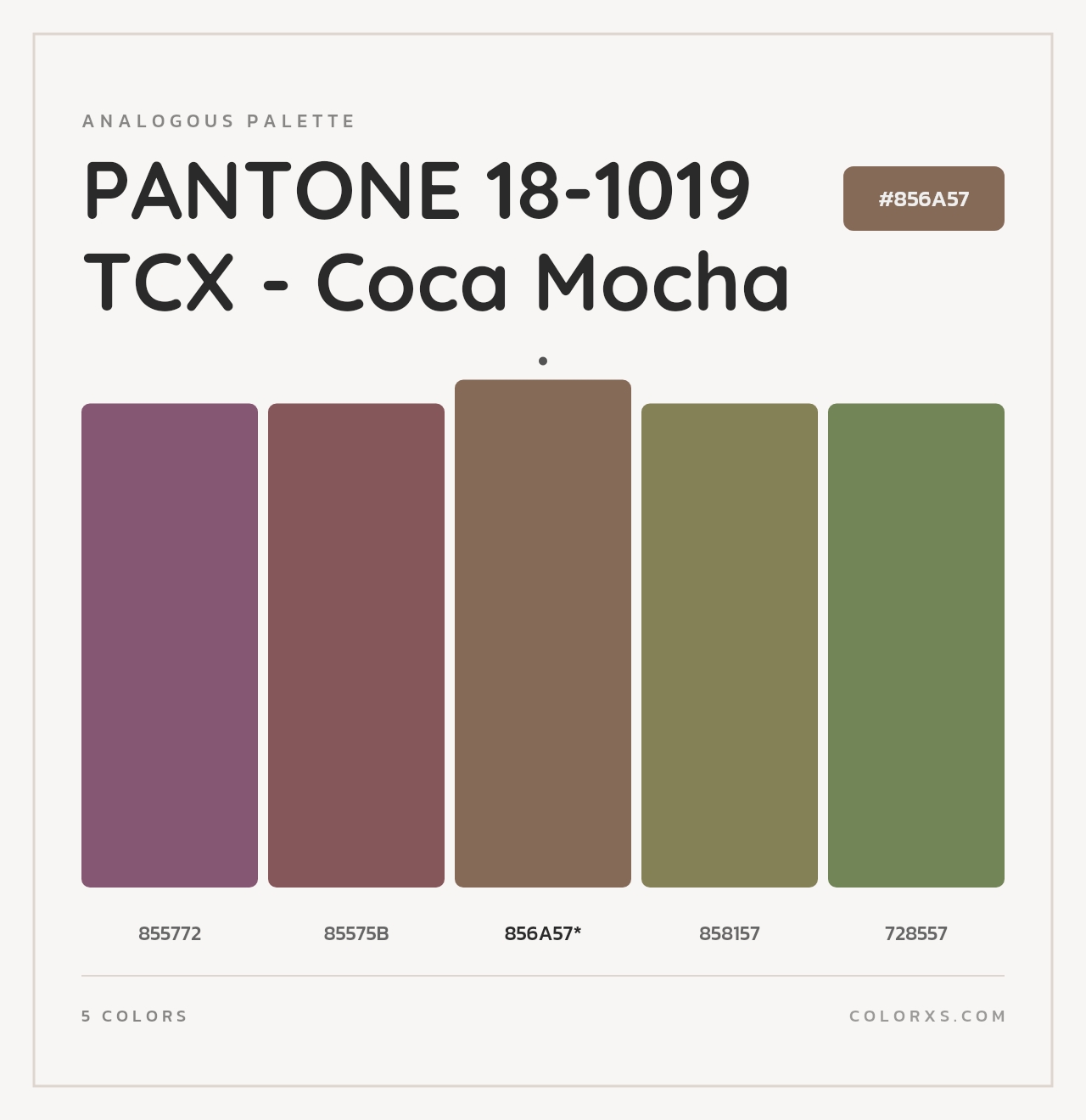 PANTONE 18-1019 TCX - Coca Mocha - Analogous Color Palette