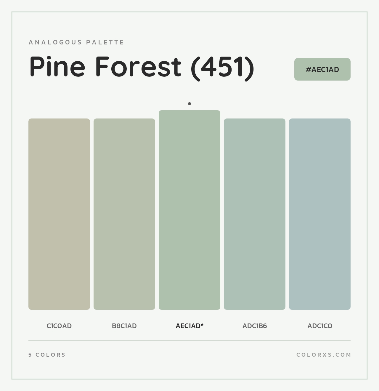 Pine Forest (451) - Analogous Color Palette