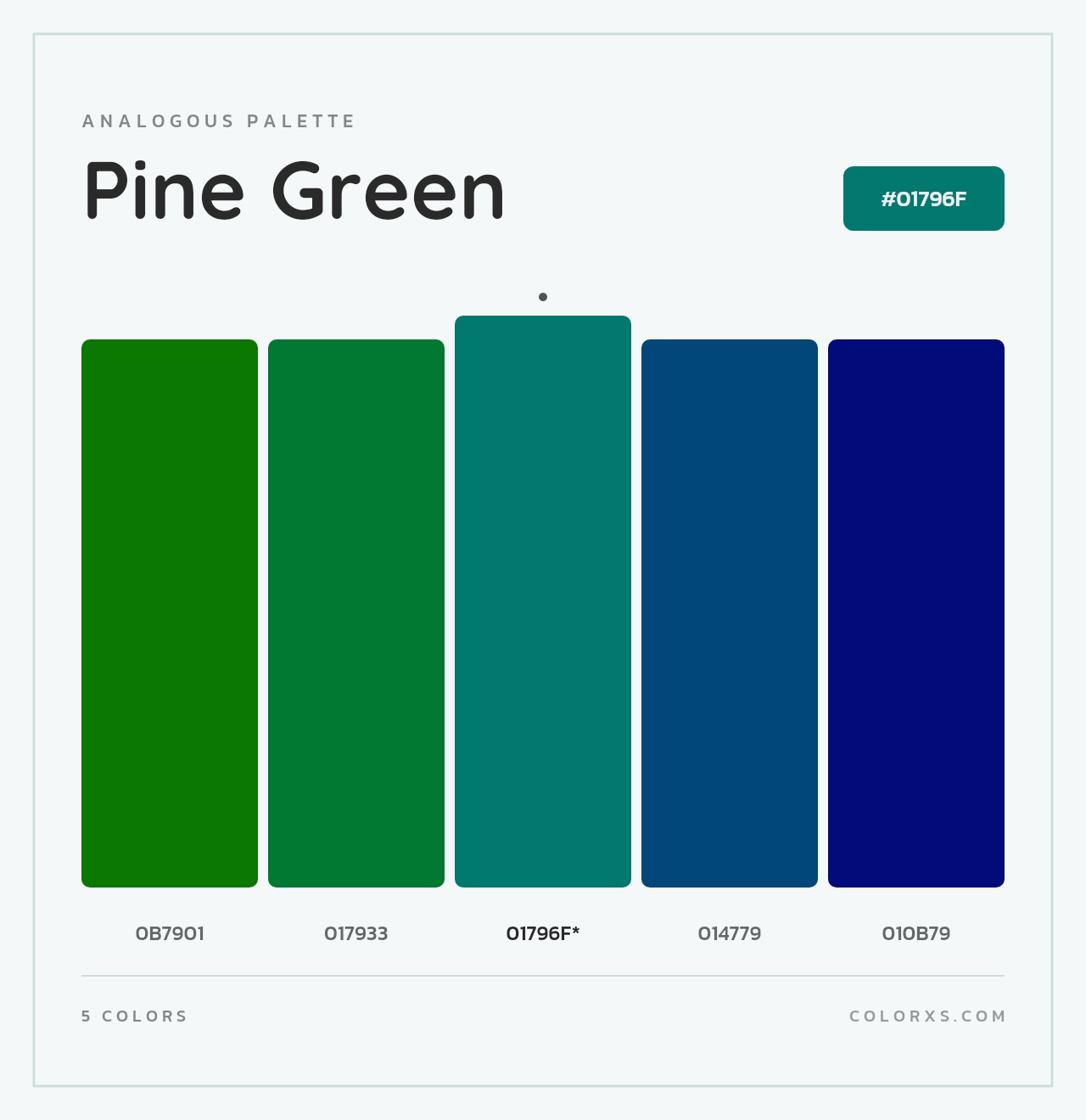 Pine Green - Analogous Color Palette