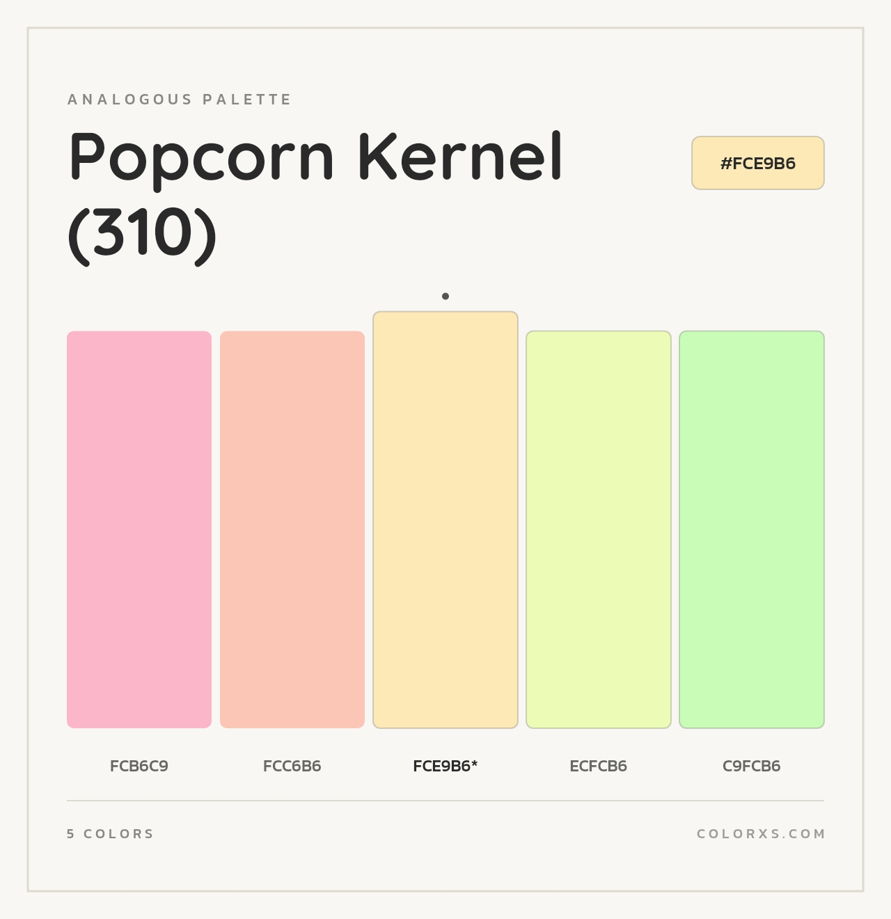 Popcorn Kernel (310) - Analogous Color Palette