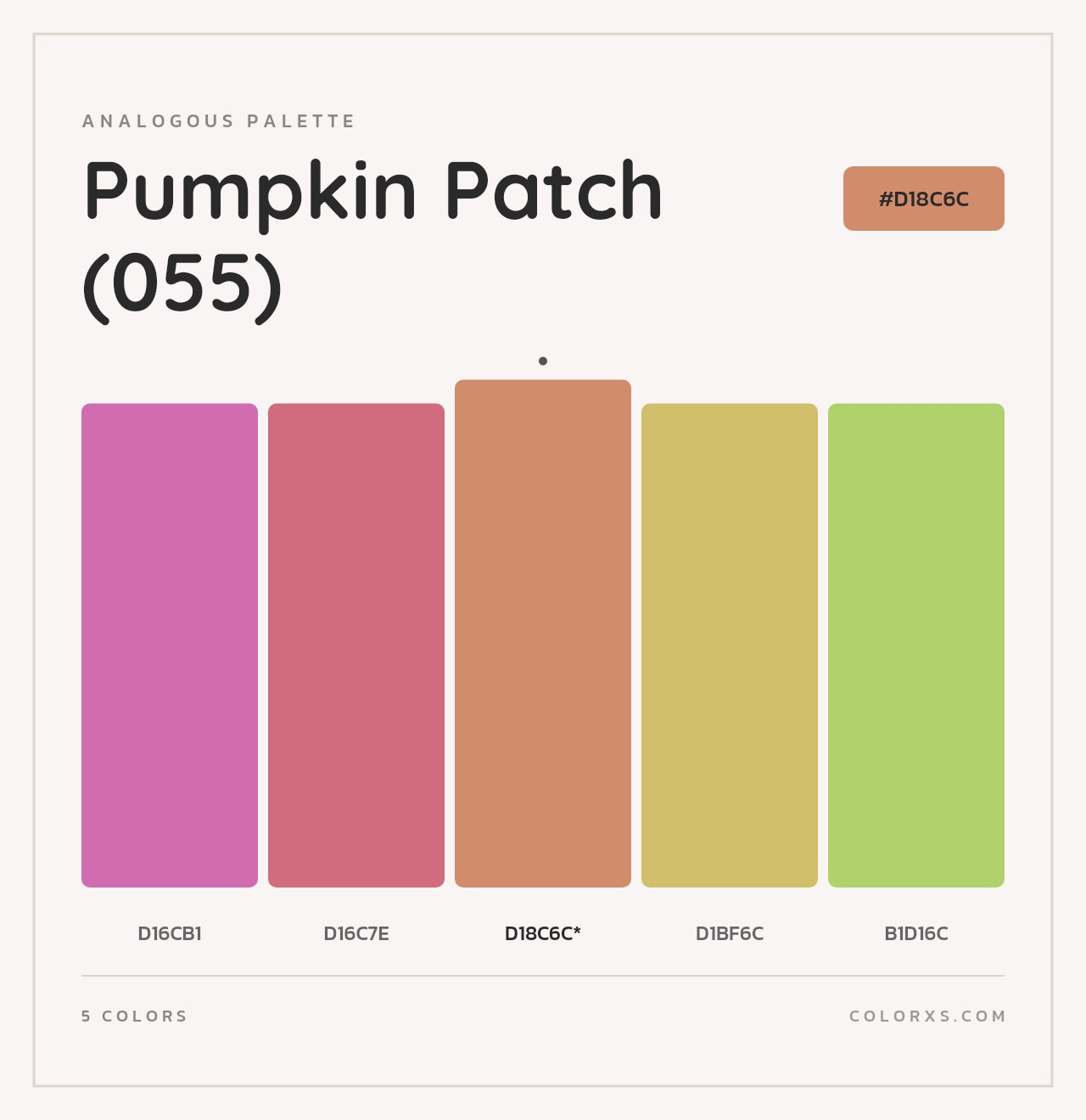 Pumpkin Patch (055) - Analogous Color Palette