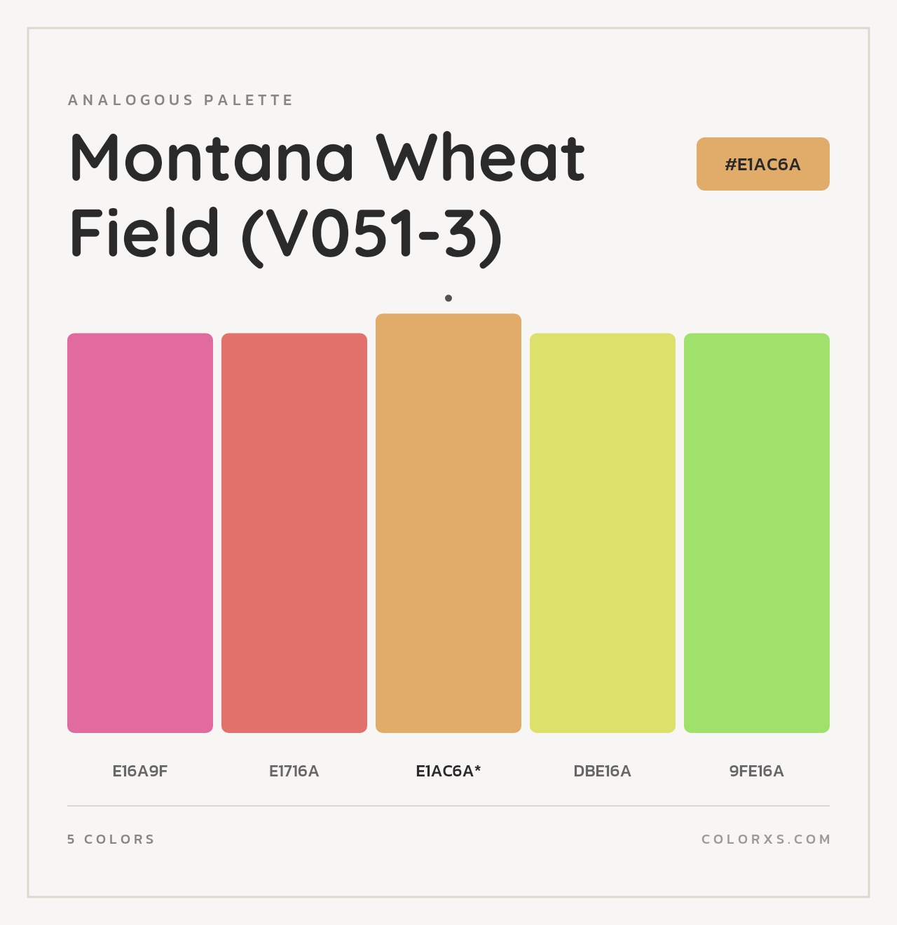 Montana Wheat Field (V051-3) - Analogous Color Palette
