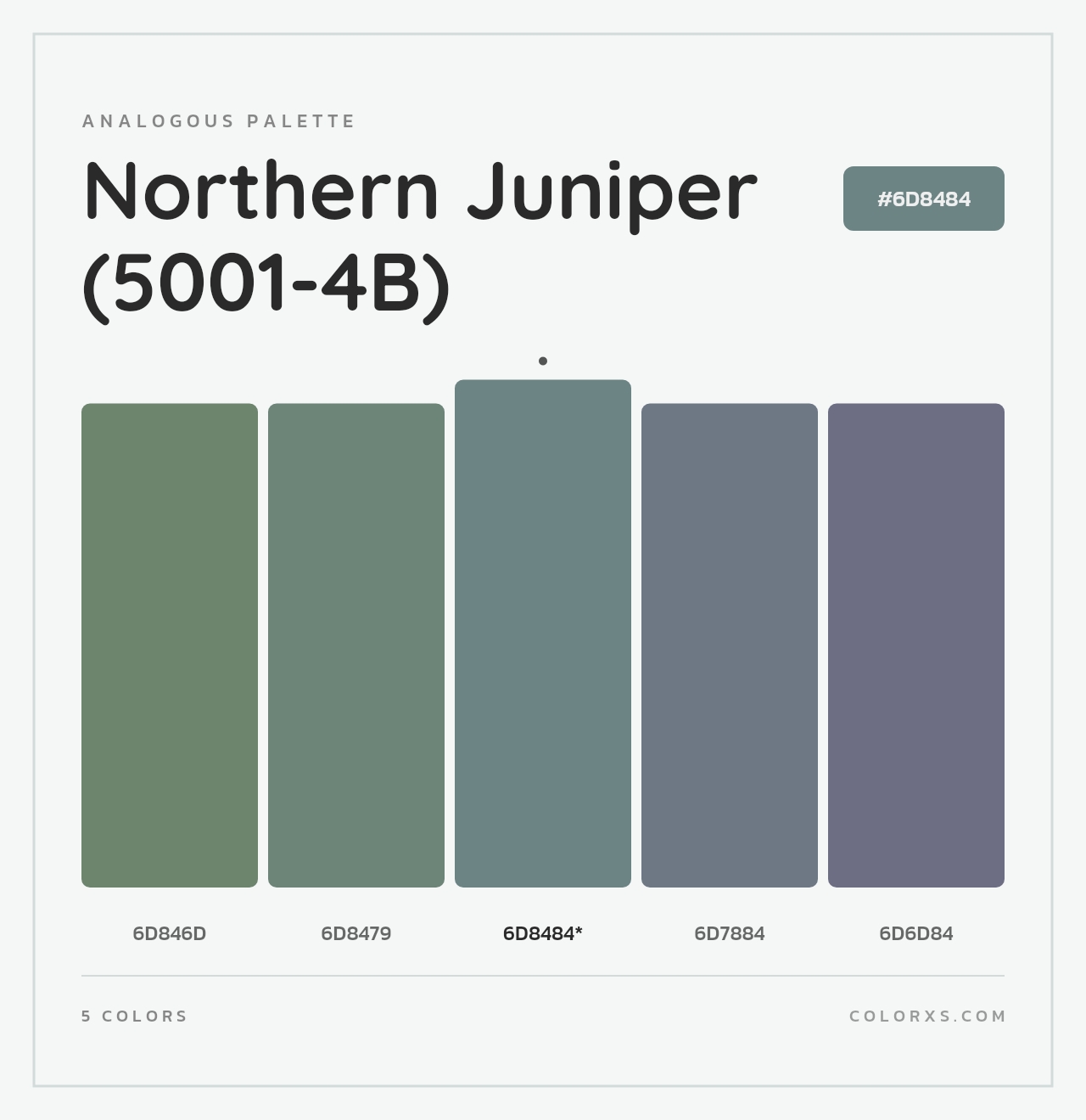 Northern Juniper (5001-4B) - Analogous Color Palette