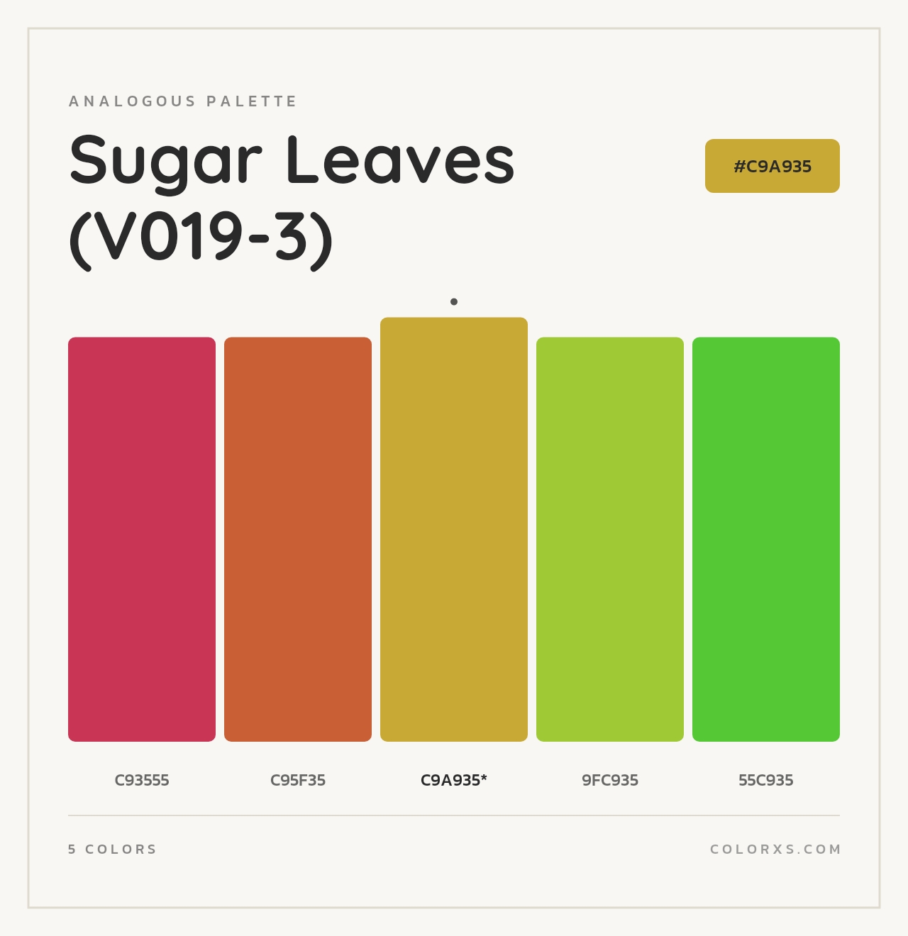Sugar Leaves (V019-3) - Analogous Color Palette