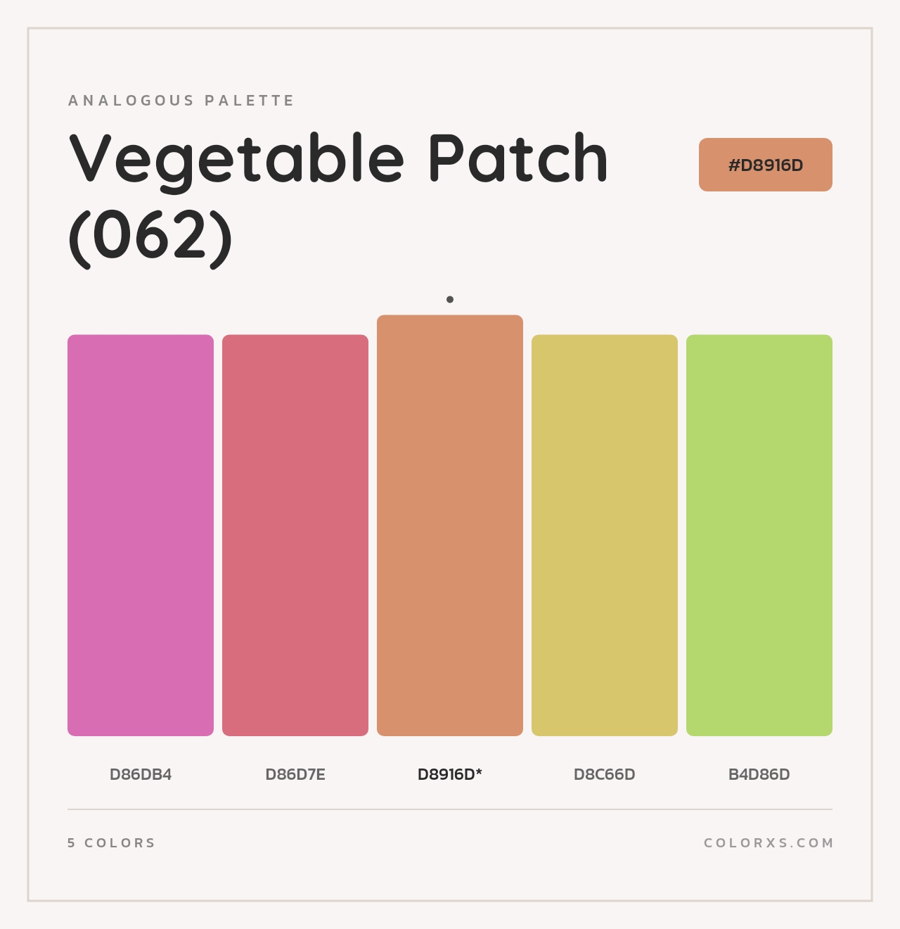Vegetable Patch (062) - Analogous Color Palette