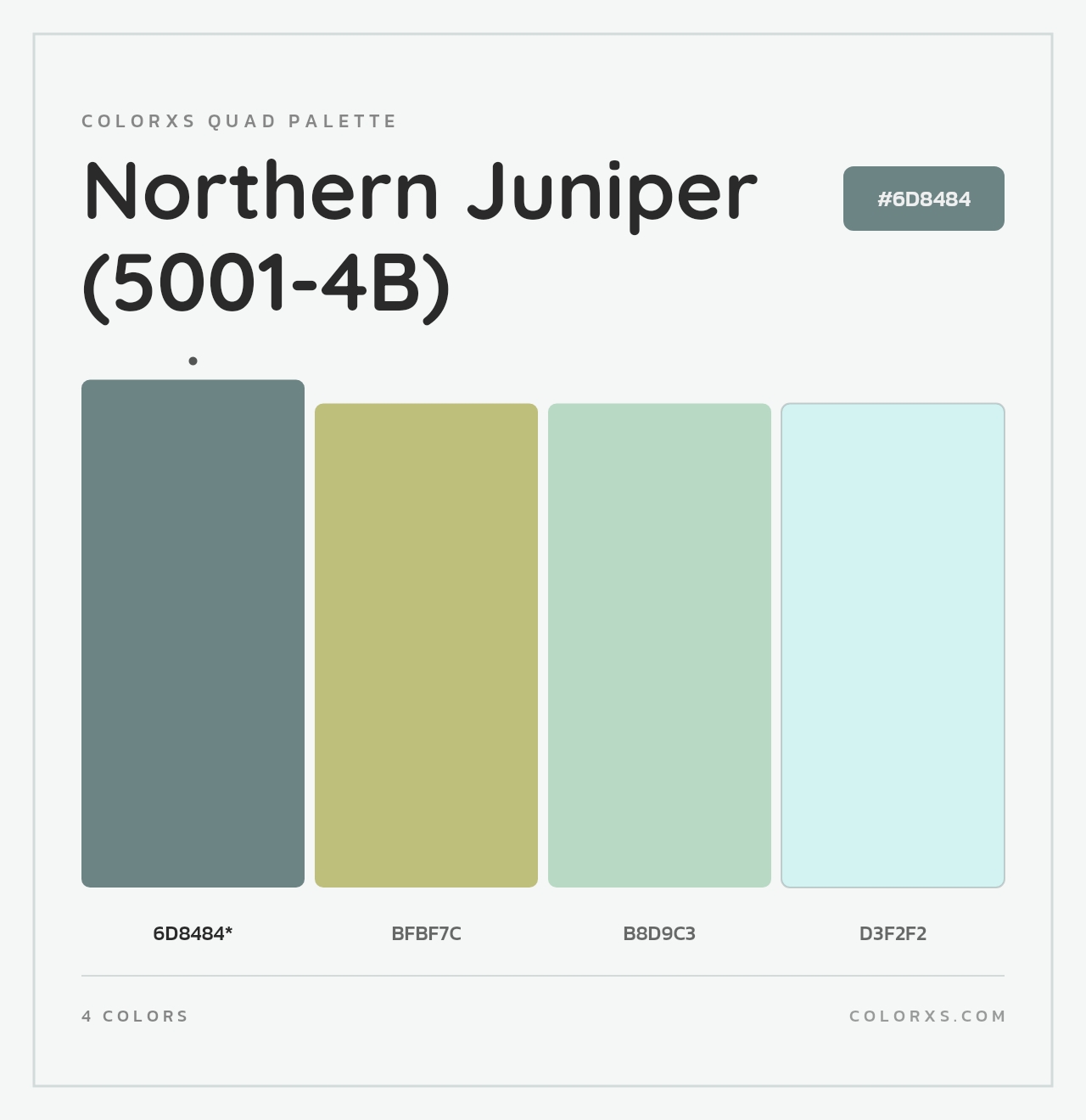 Northern Juniper (5001-4B) - Colorxs Quad Palette