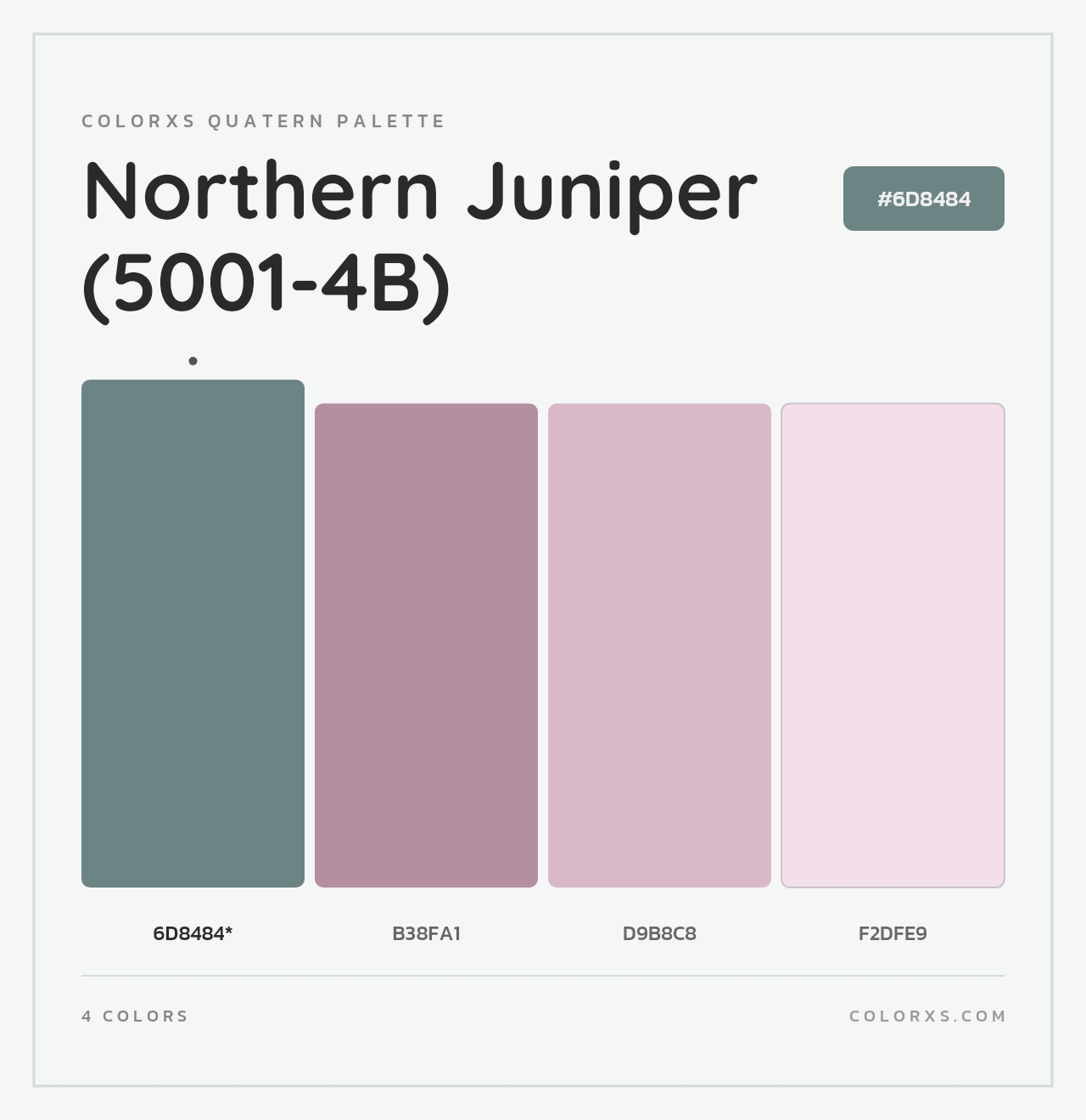 Northern Juniper (5001-4B) - Colorxs Quad Palette