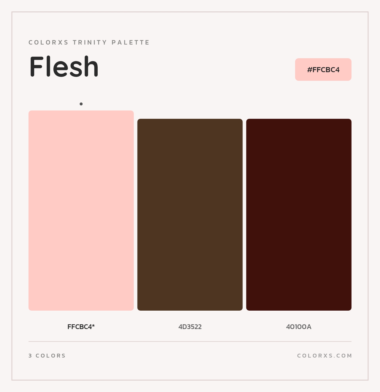 Flesh - Colorxs Trinity Palette