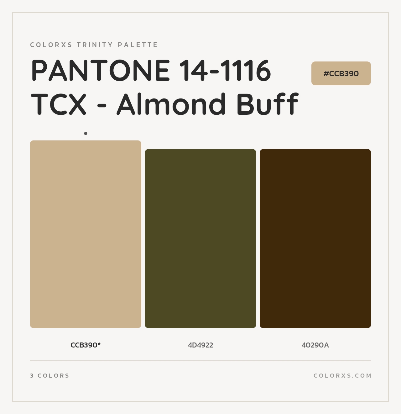 PANTONE 14-1116 TCX - Almond Buff - Colorxs Trinity Palette