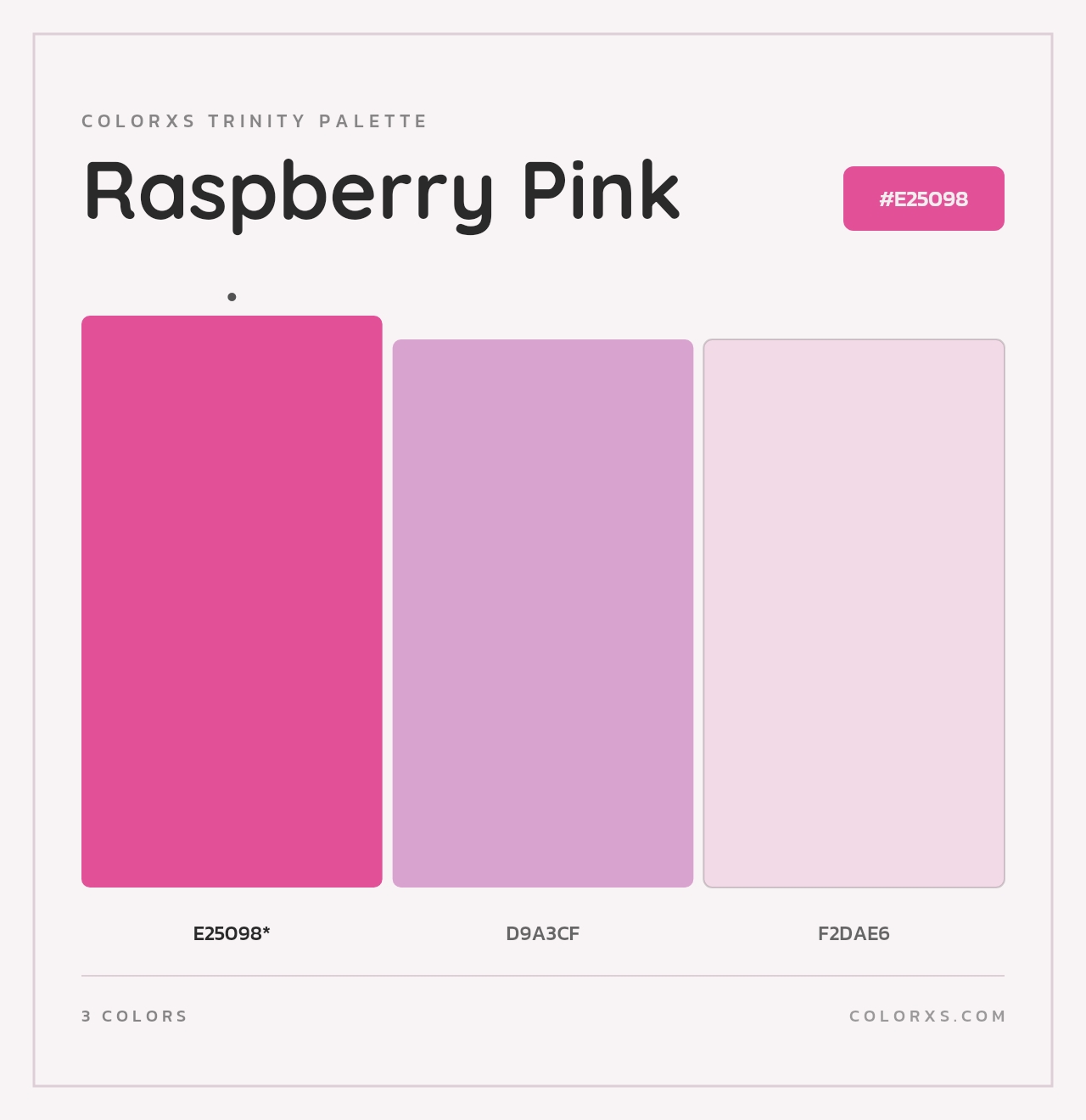 Raspberry Pink - Colorxs Trinity Palette