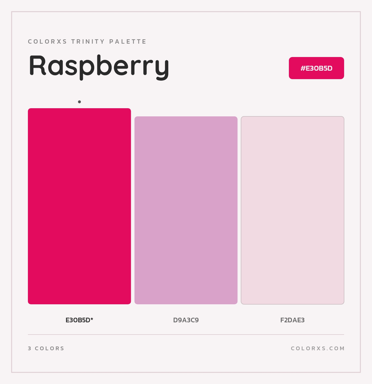 Raspberry - Colorxs Trinity Palette