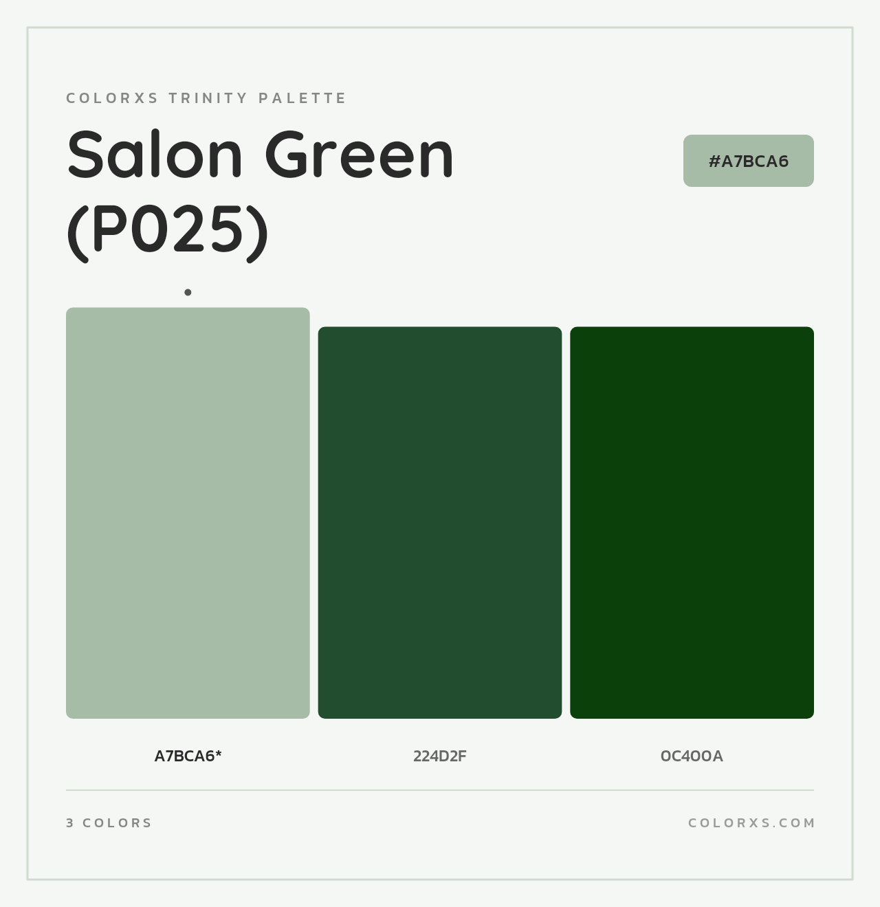 Salon Green (P025) - Colorxs Trinity Palette