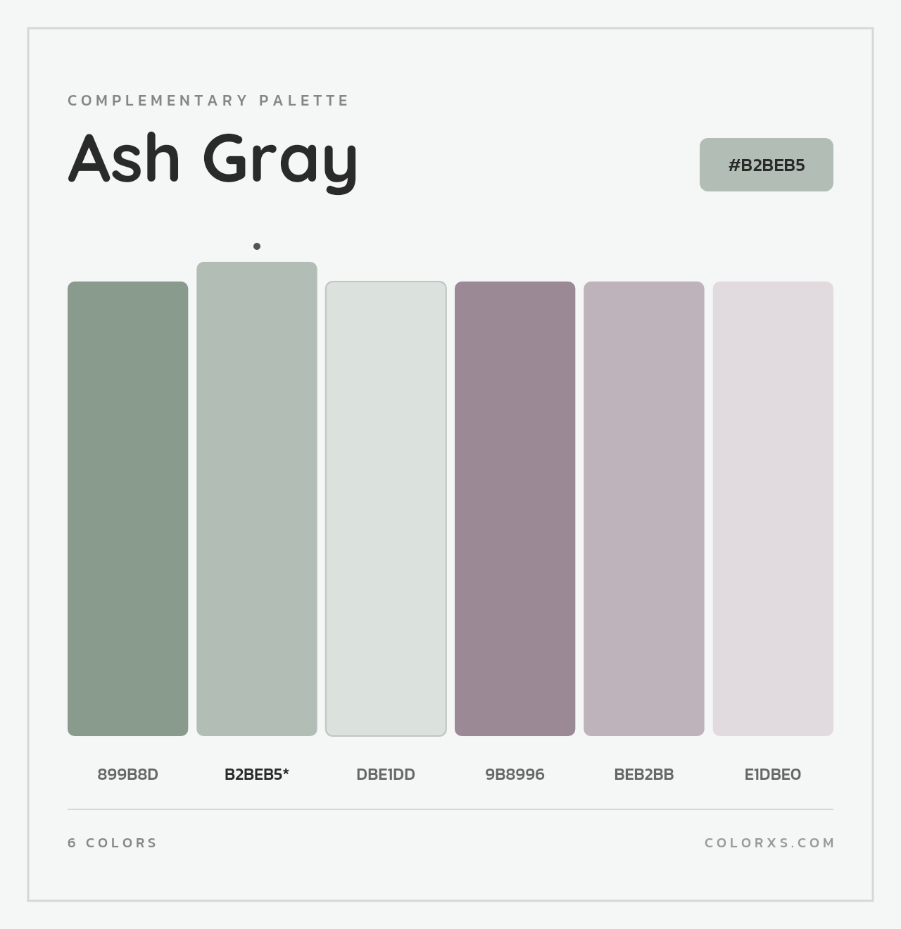 Ash Gray - Complementary Color Palette