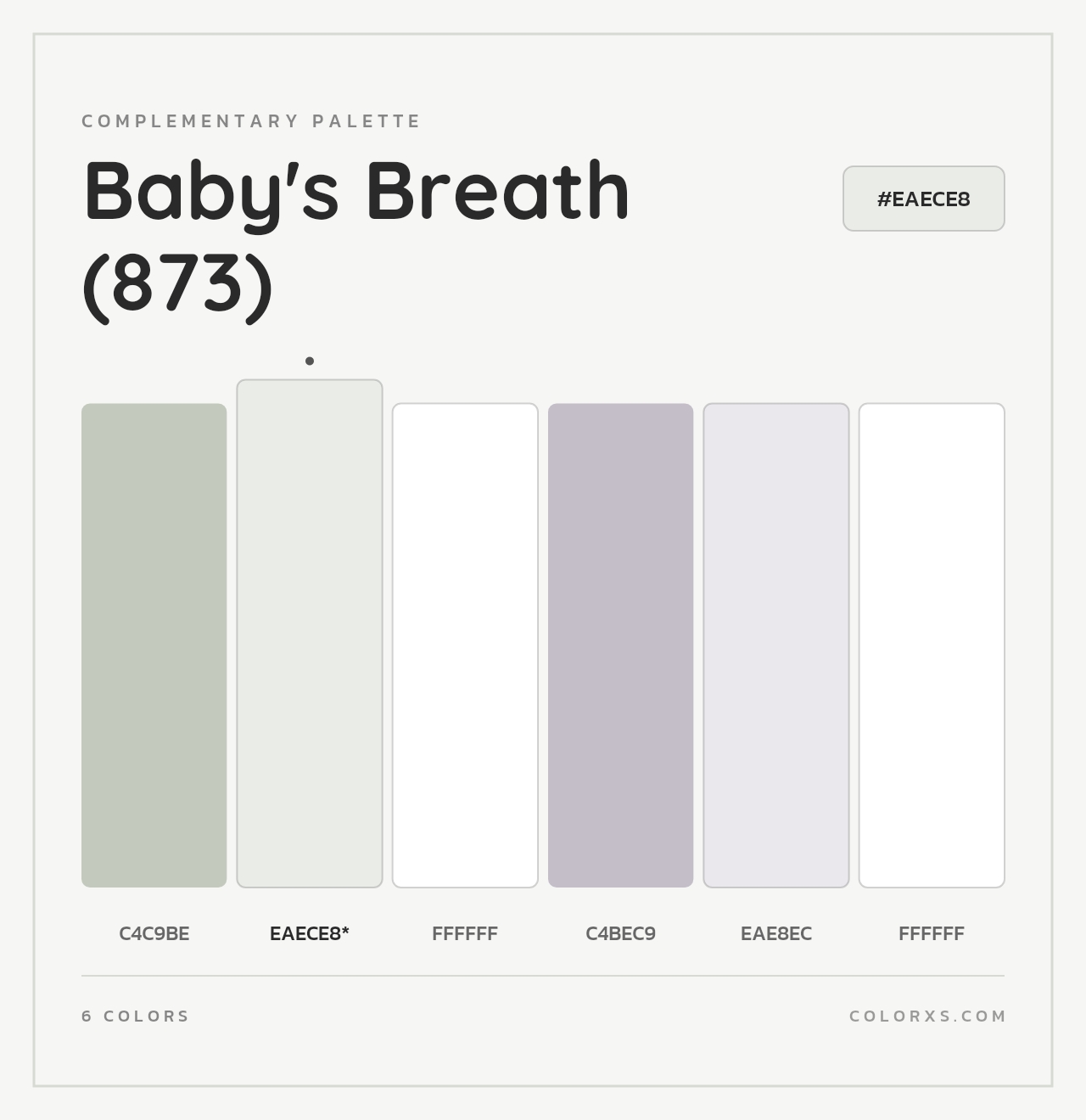 Baby's Breath (873) - Complementary Color Palette