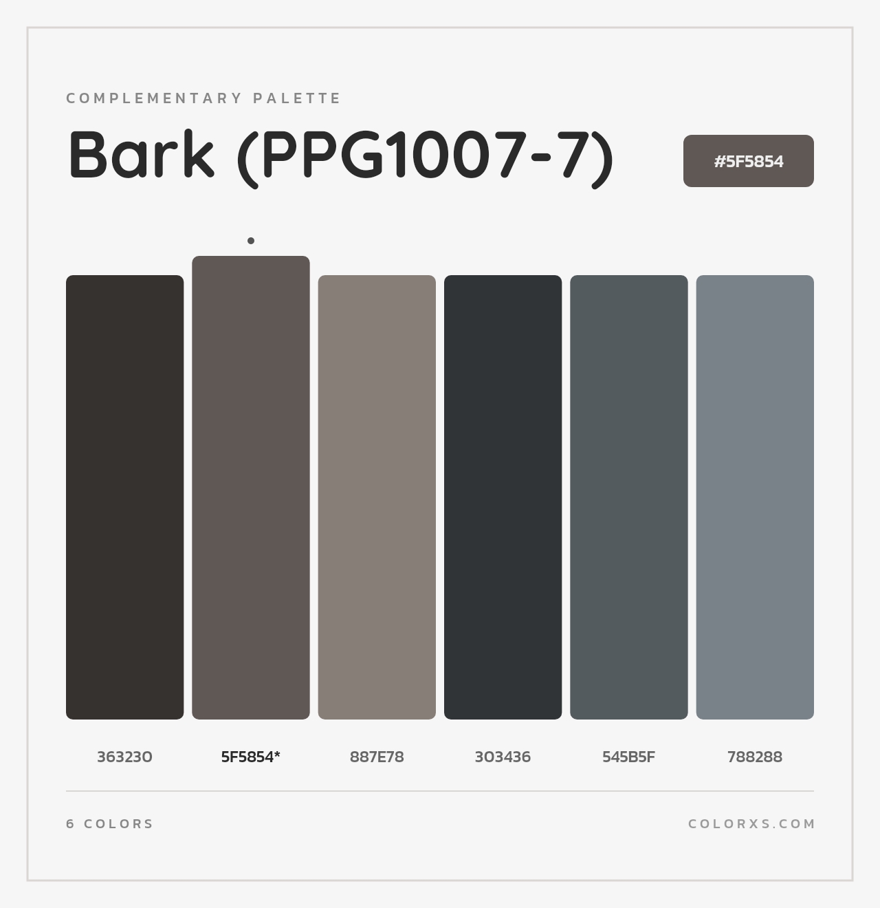 Bark (PPG1007-7) - Complementary Color Palette