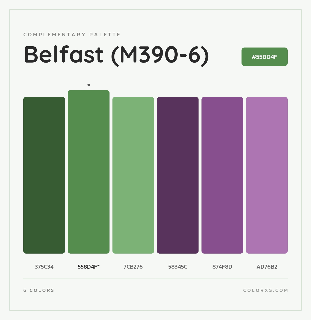Belfast (M390-6) - Complementary Color Palette