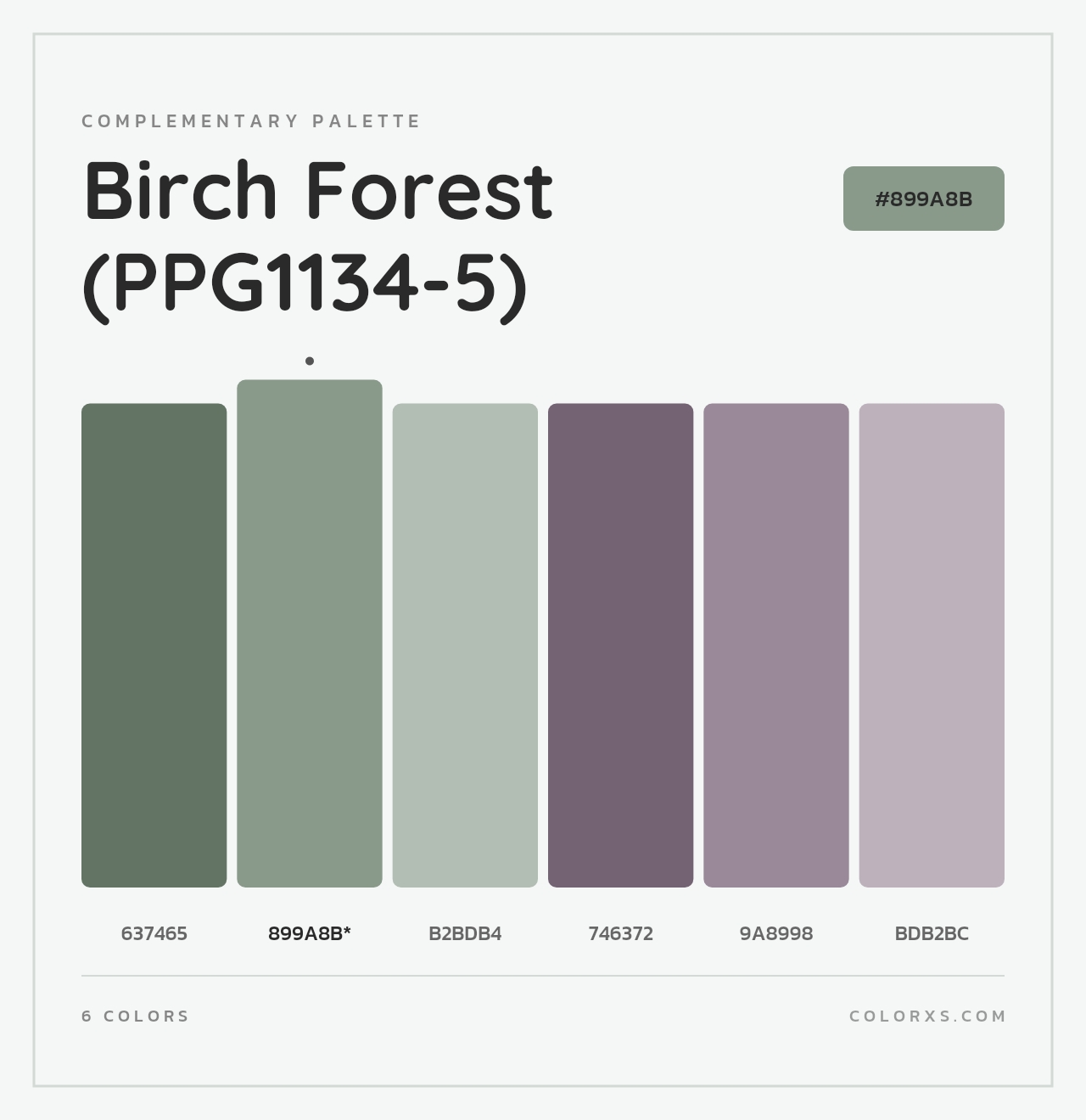 Birch Forest (PPG1134-5) - Complementary Color Palette