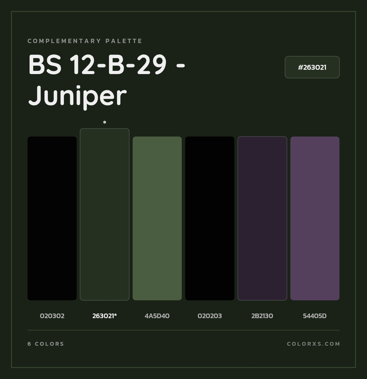 BS 12-B-29 - Juniper - Complementary Color Palette