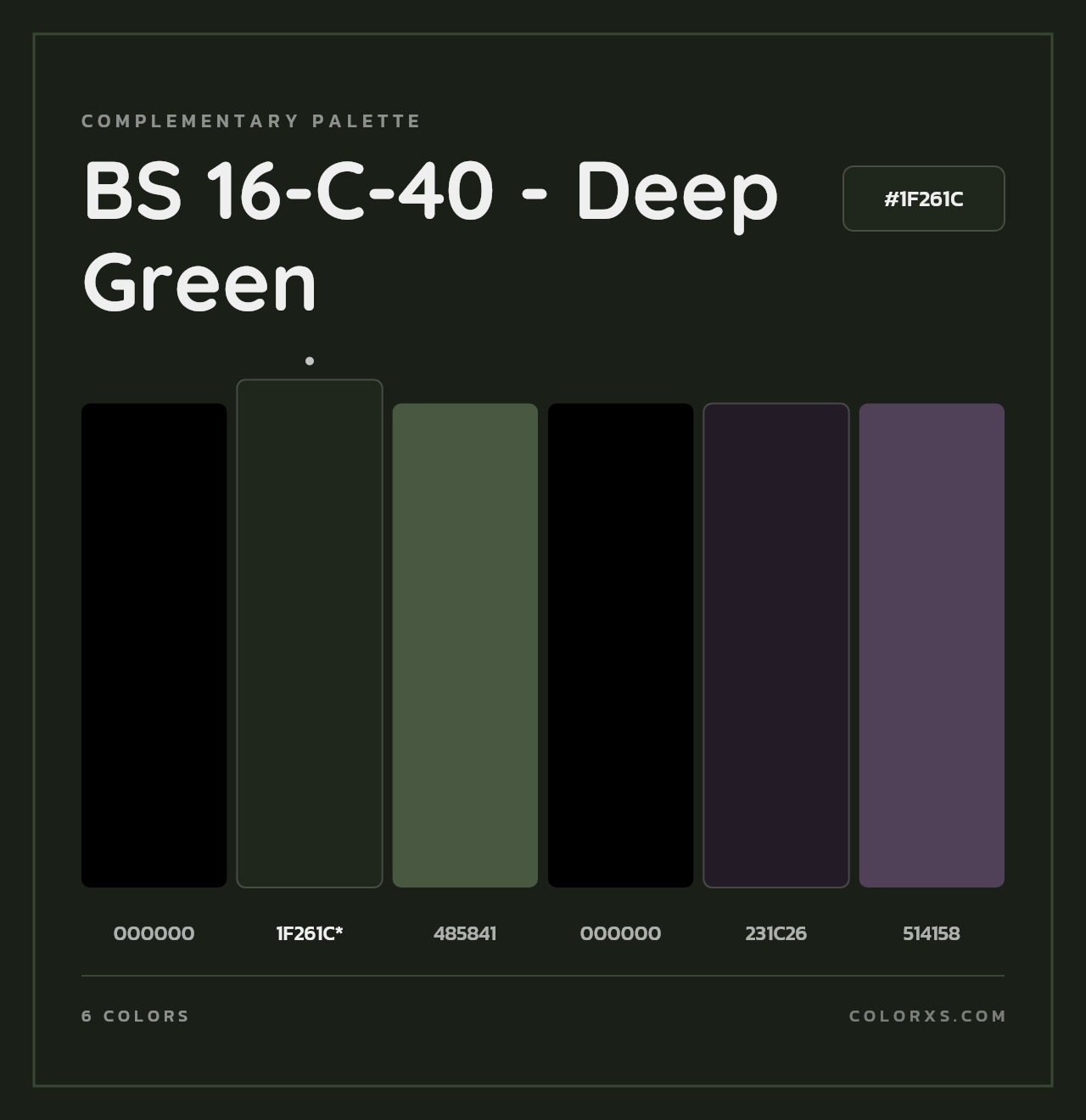 BS 16-C-40 - Deep Green - Complementary Color Palette