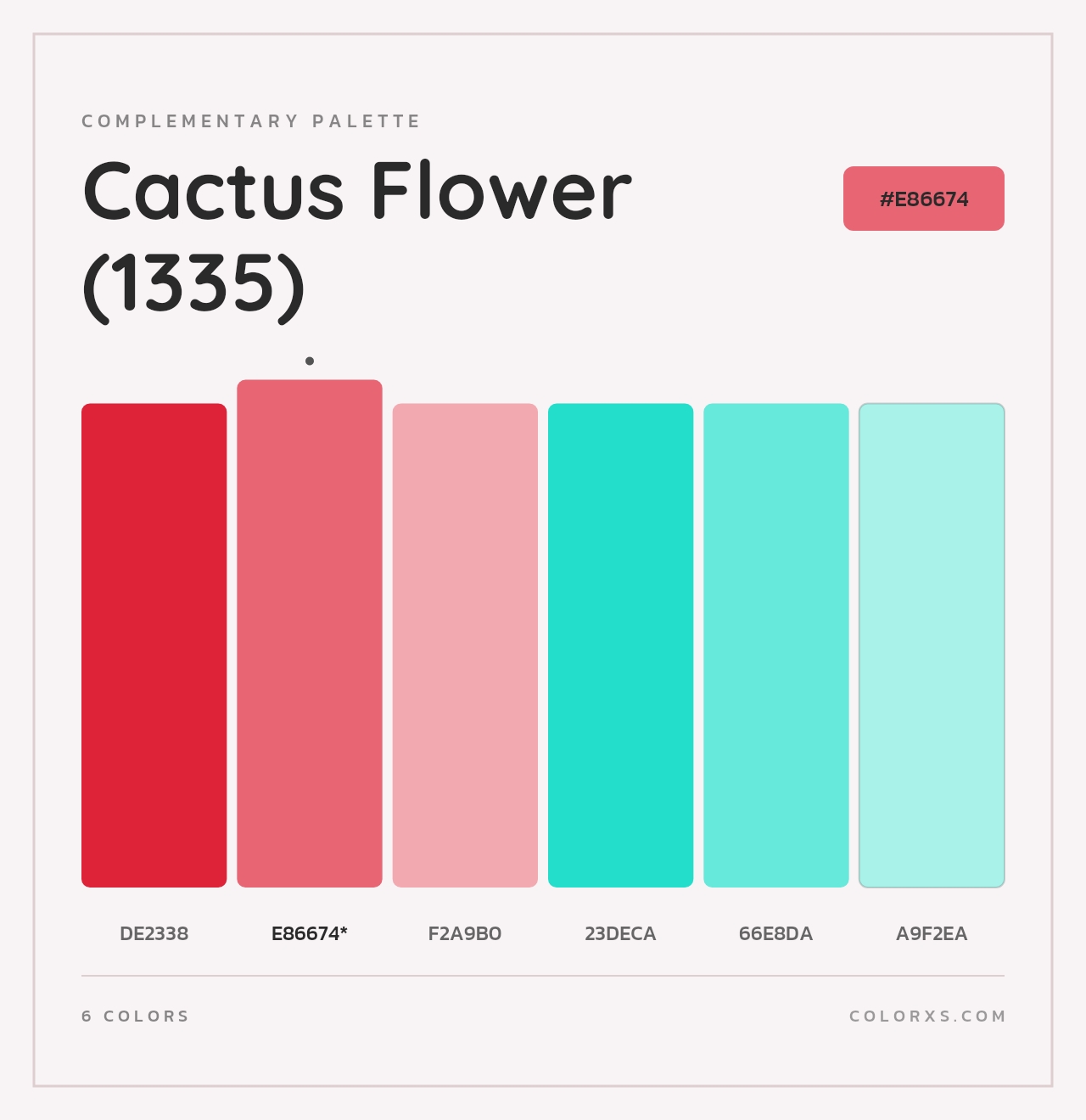 Cactus Flower (1335) - Complementary Color Palette