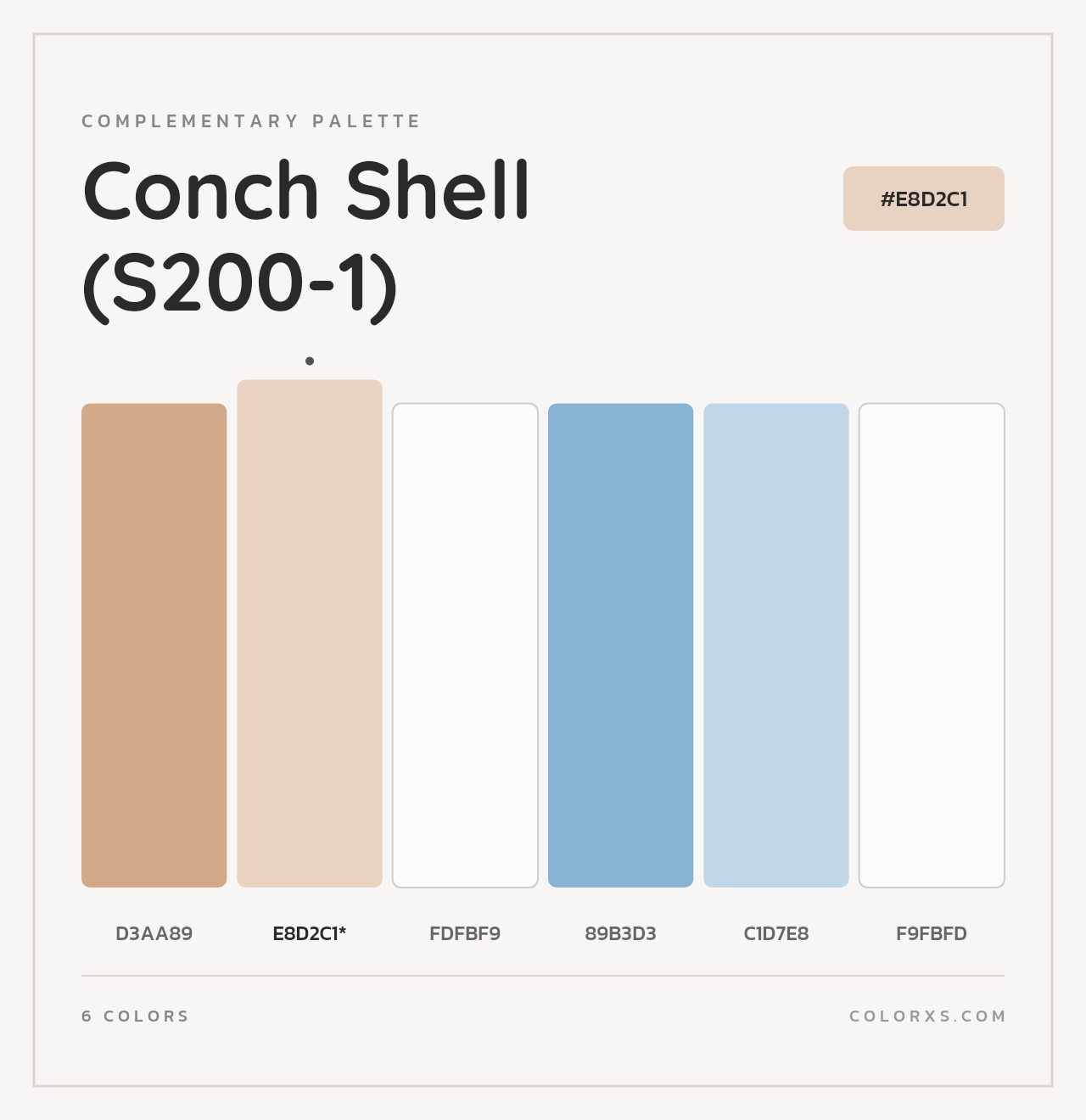 Conch Shell (S200-1) - Complementary Color Palette