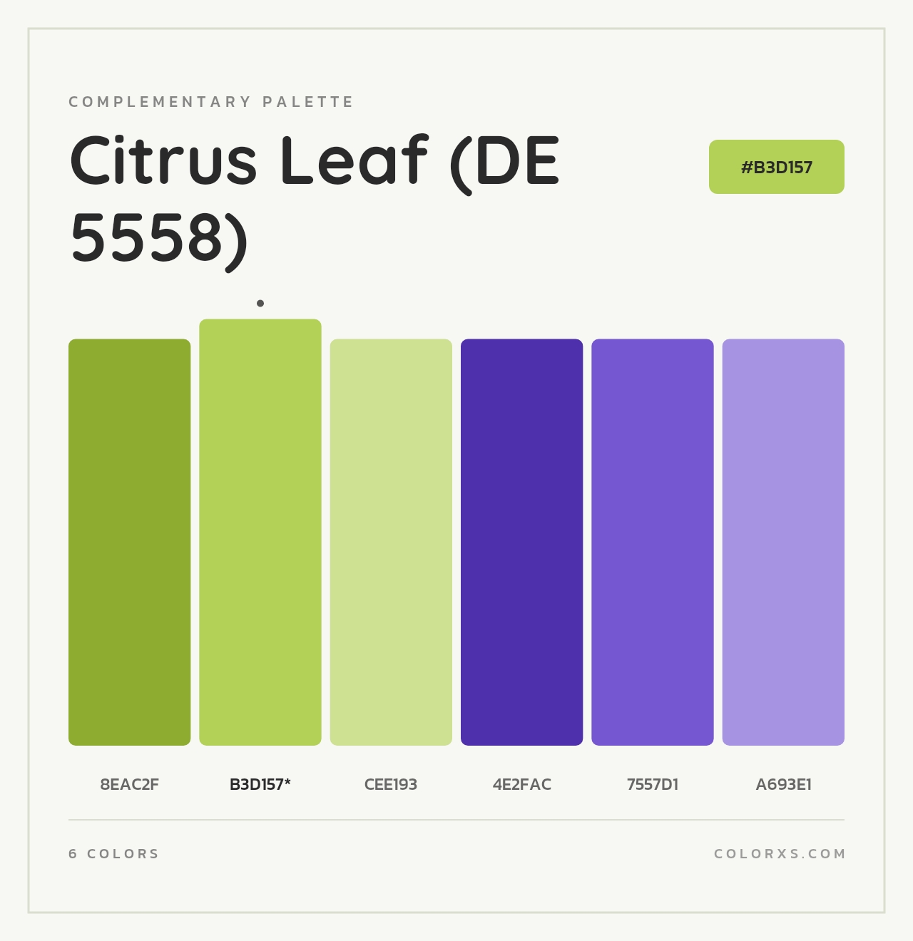 Citrus Leaf (DE 5558) - Complementary Color Palette