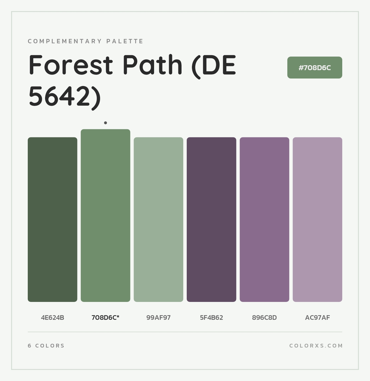 Forest Path (DE 5642) - Complementary Color Palette