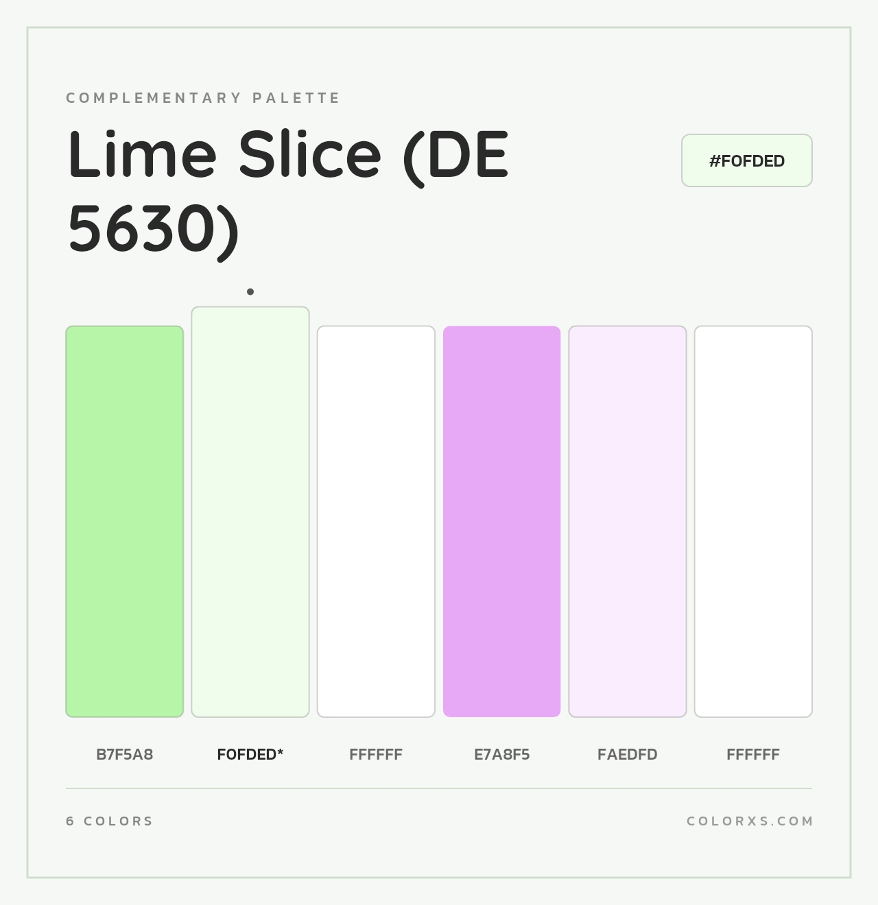 Lime Slice (DE 5630) - Complementary Color Palette