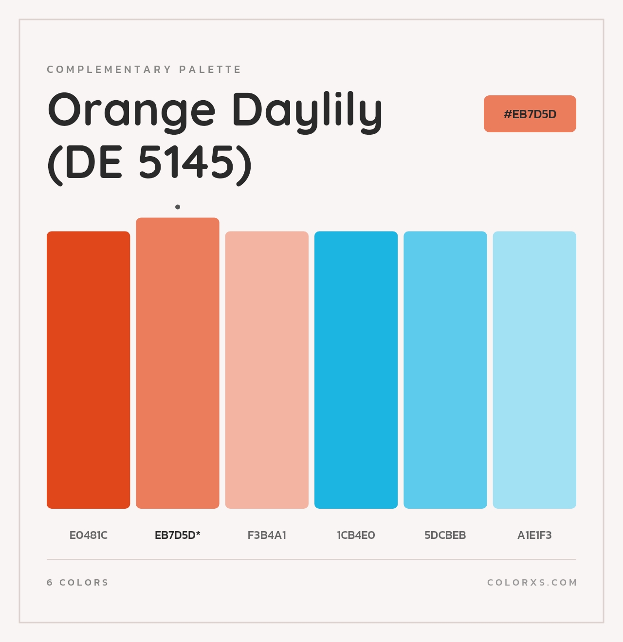 Orange Daylily (DE 5145) - Complementary Color Palette
