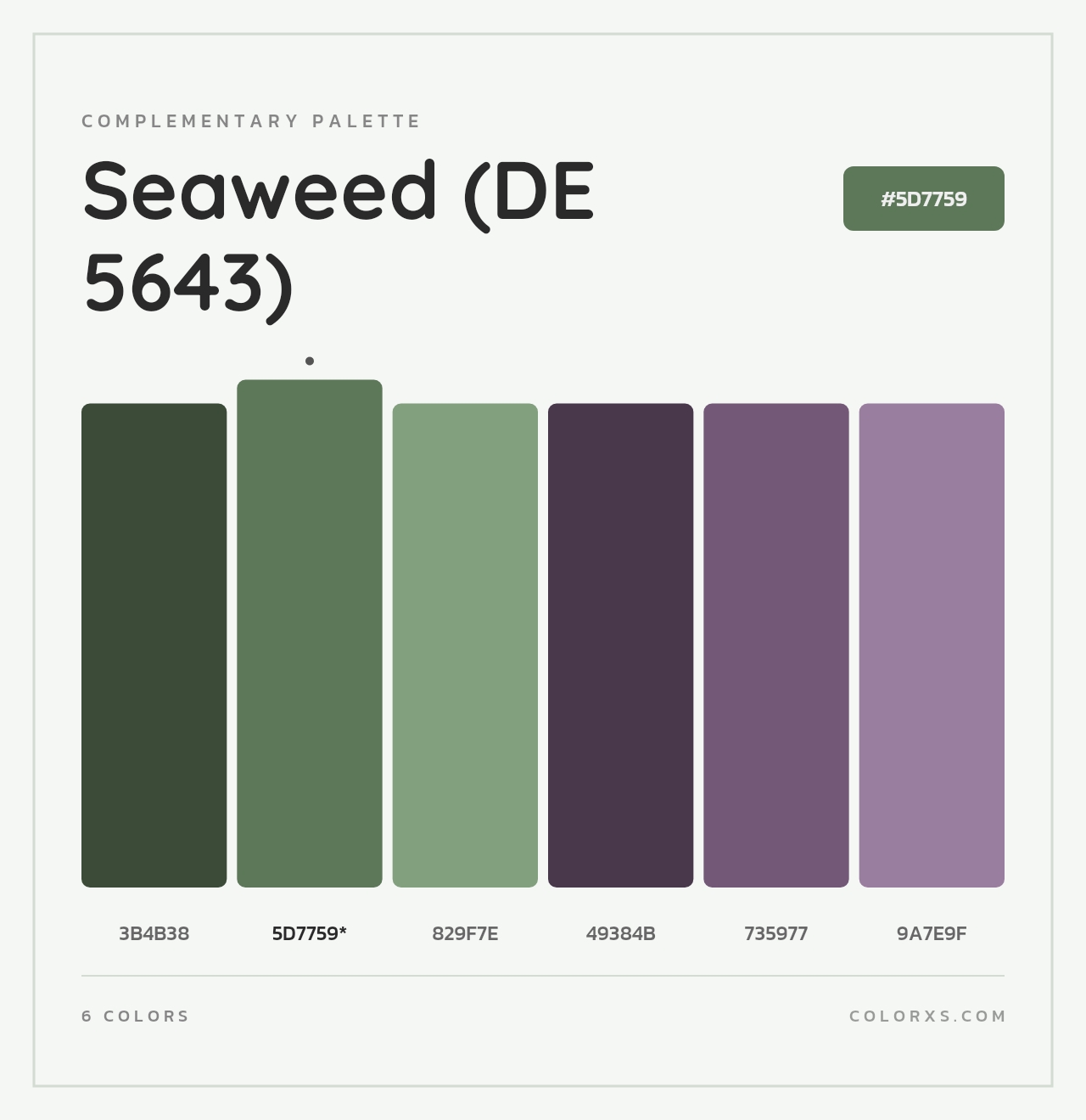 Seaweed (DE 5643) - Complementary Color Palette