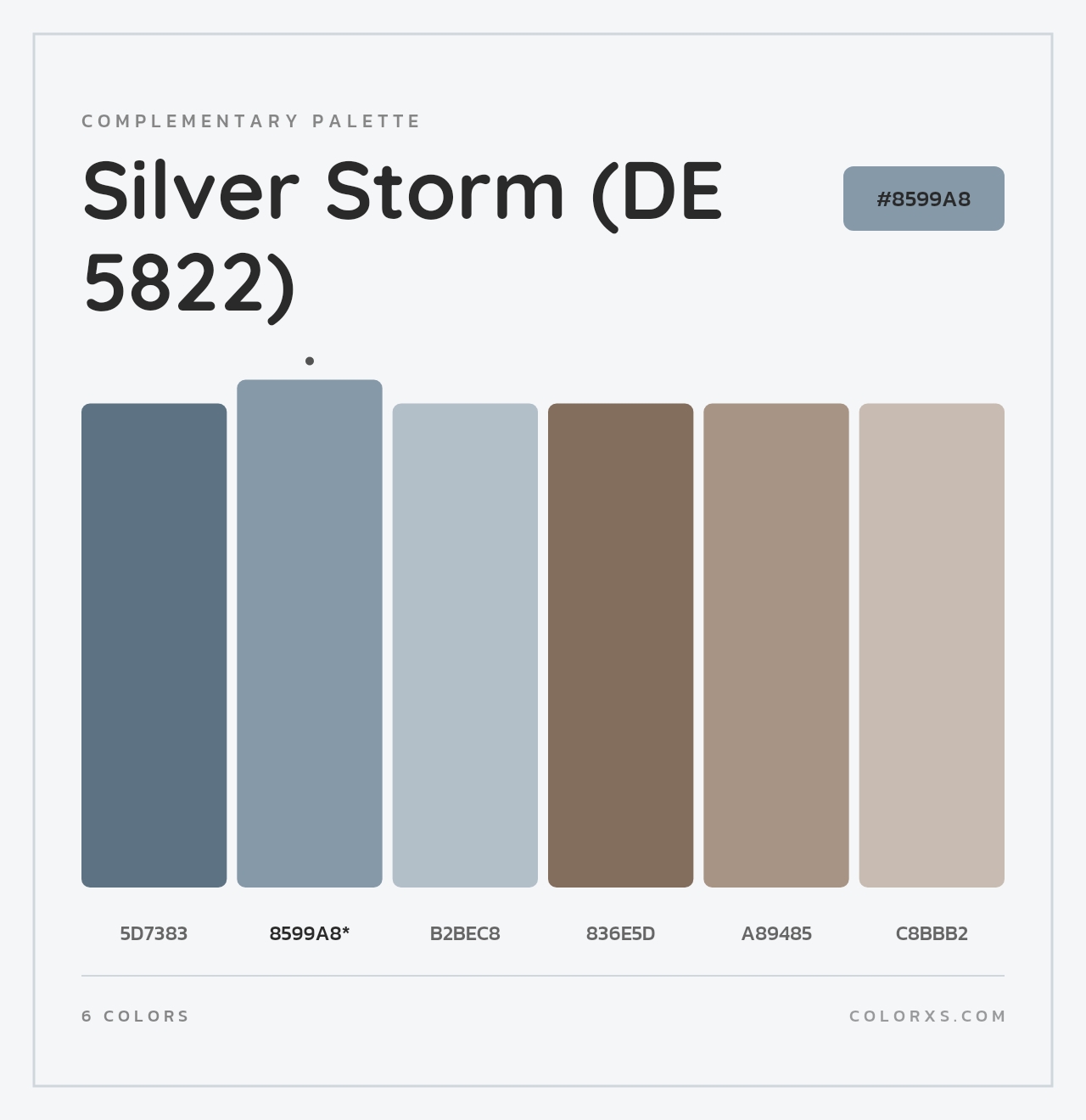 Silver Storm (DE 5822) - Complementary Color Palette