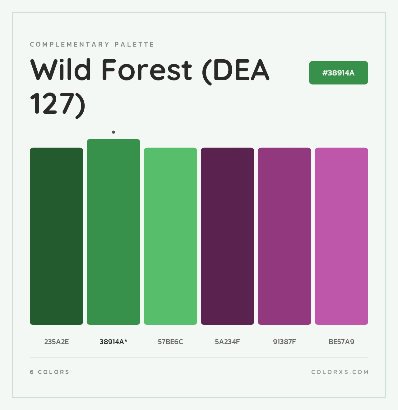 Wild Forest (DEA 127) - Complementary Color Palette