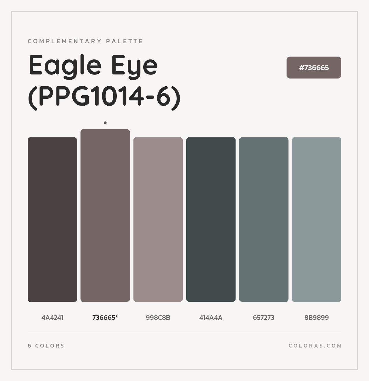 Eagle Eye (PPG1014-6) - Complementary Color Palette
